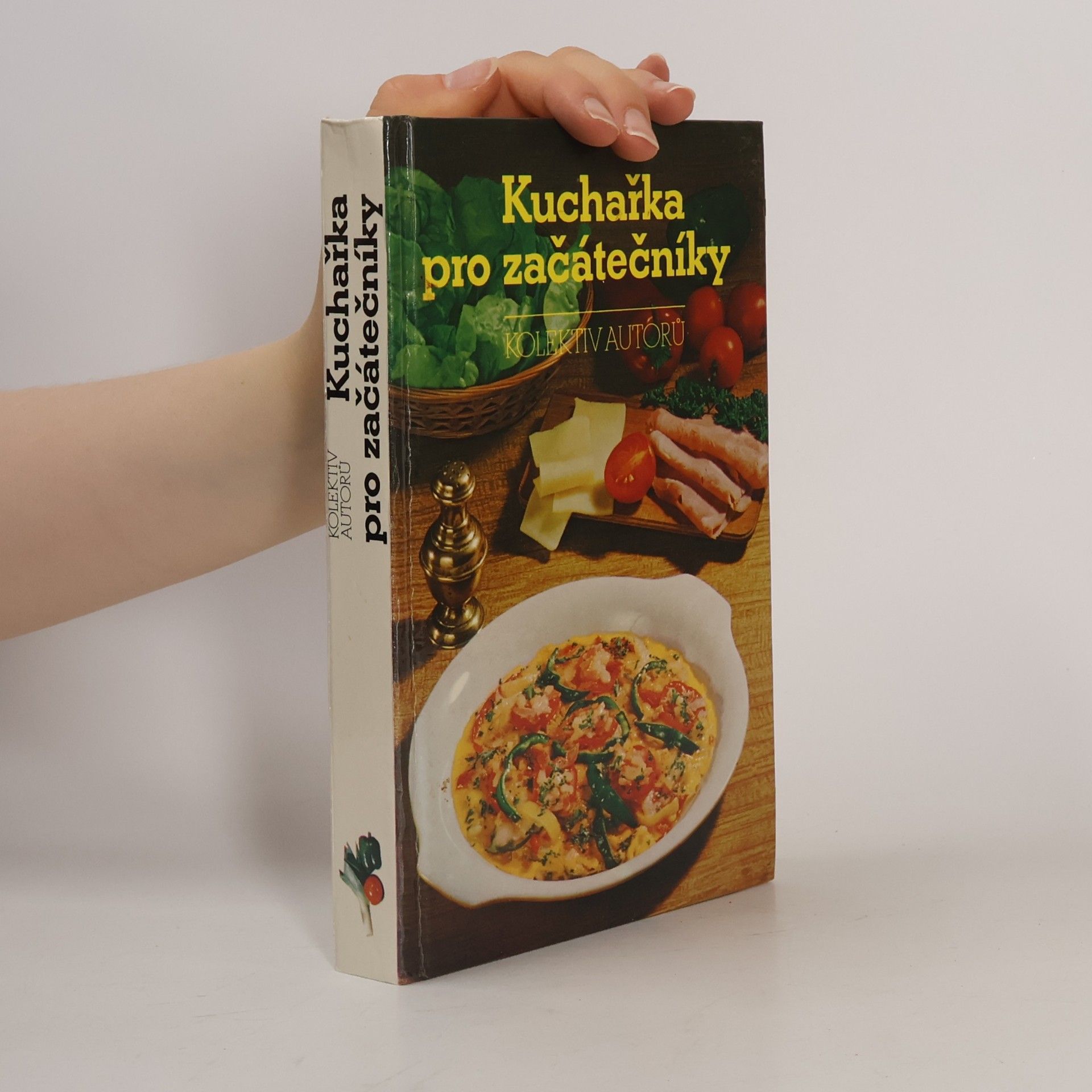 Marie Voldánová Kuchařka pro začátečníky