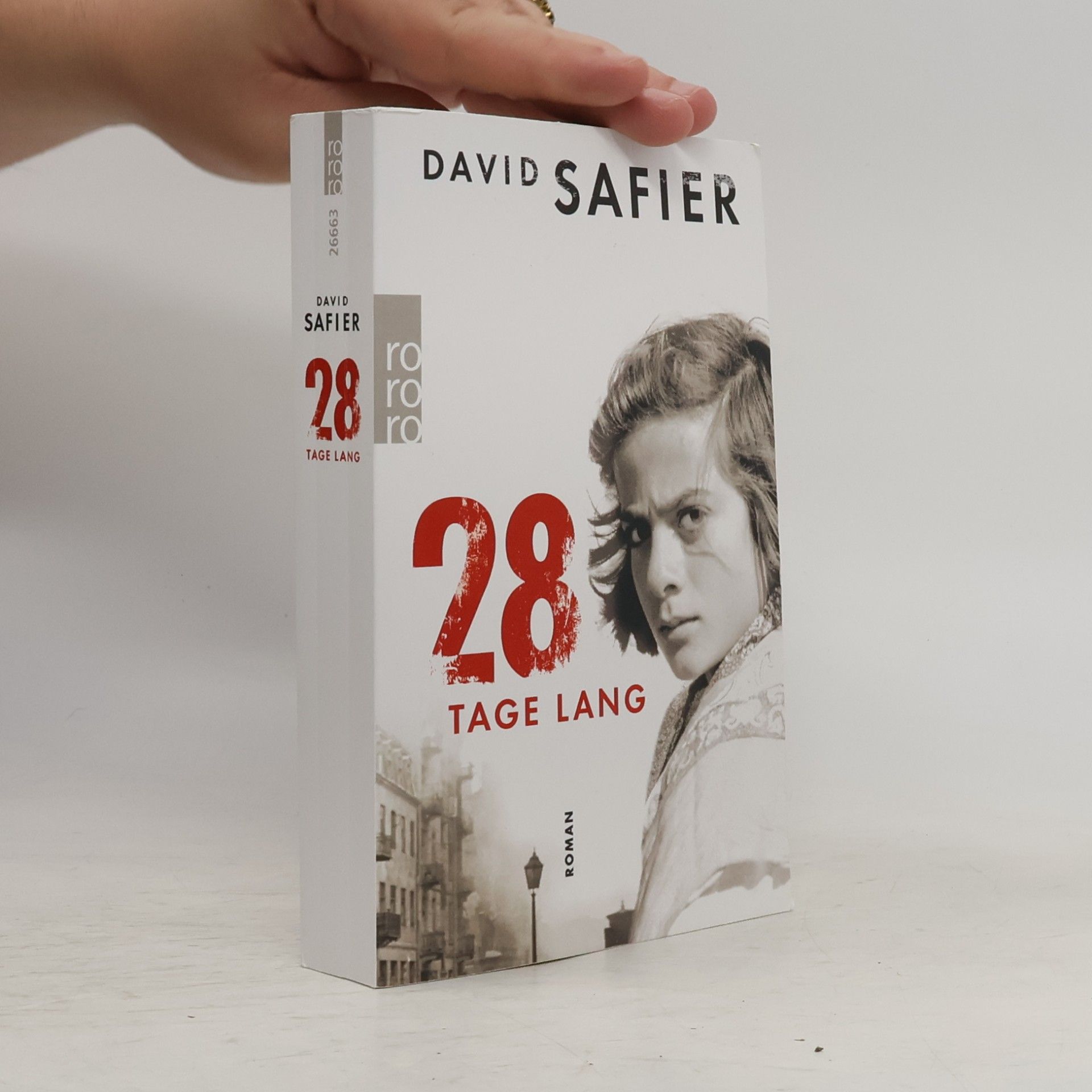 David Safier 28 Tage lang