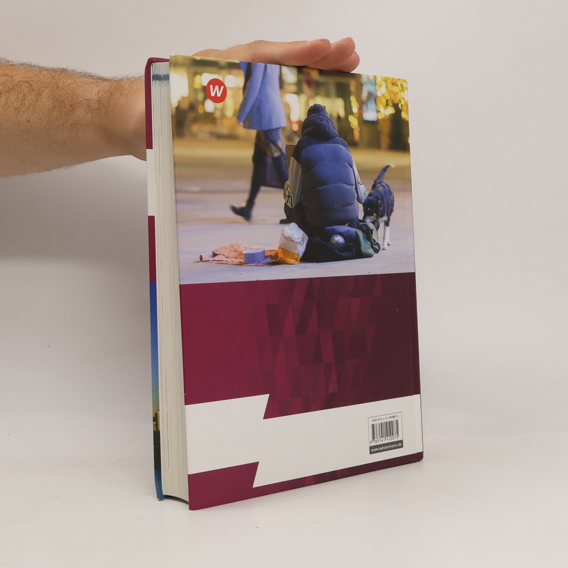 Floren Frintrop Politik-Gesellschaft-Wirtschaft - Sozialwissenschaften 2. Arbeitsbuch 2