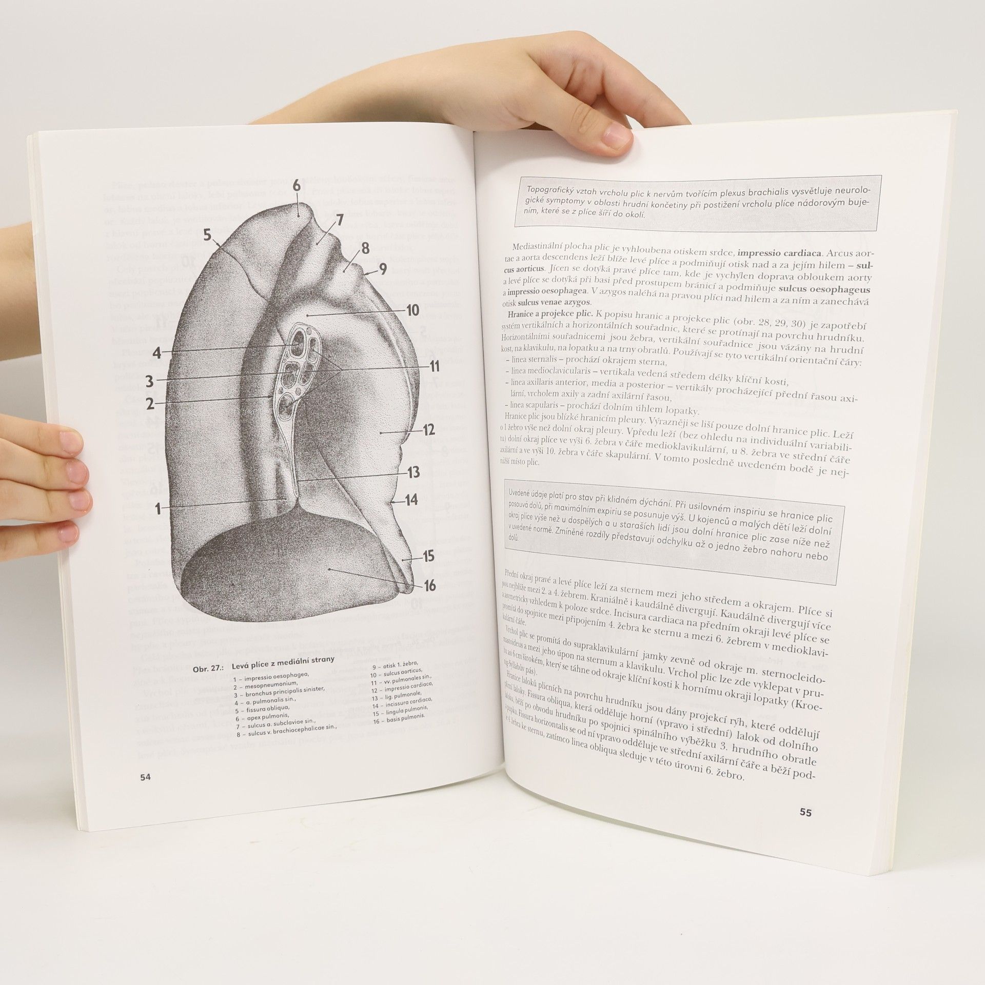 Pavel Petrovický Systematická, topografická a klinická anatomie. V. díl, Dýchací ústrojí