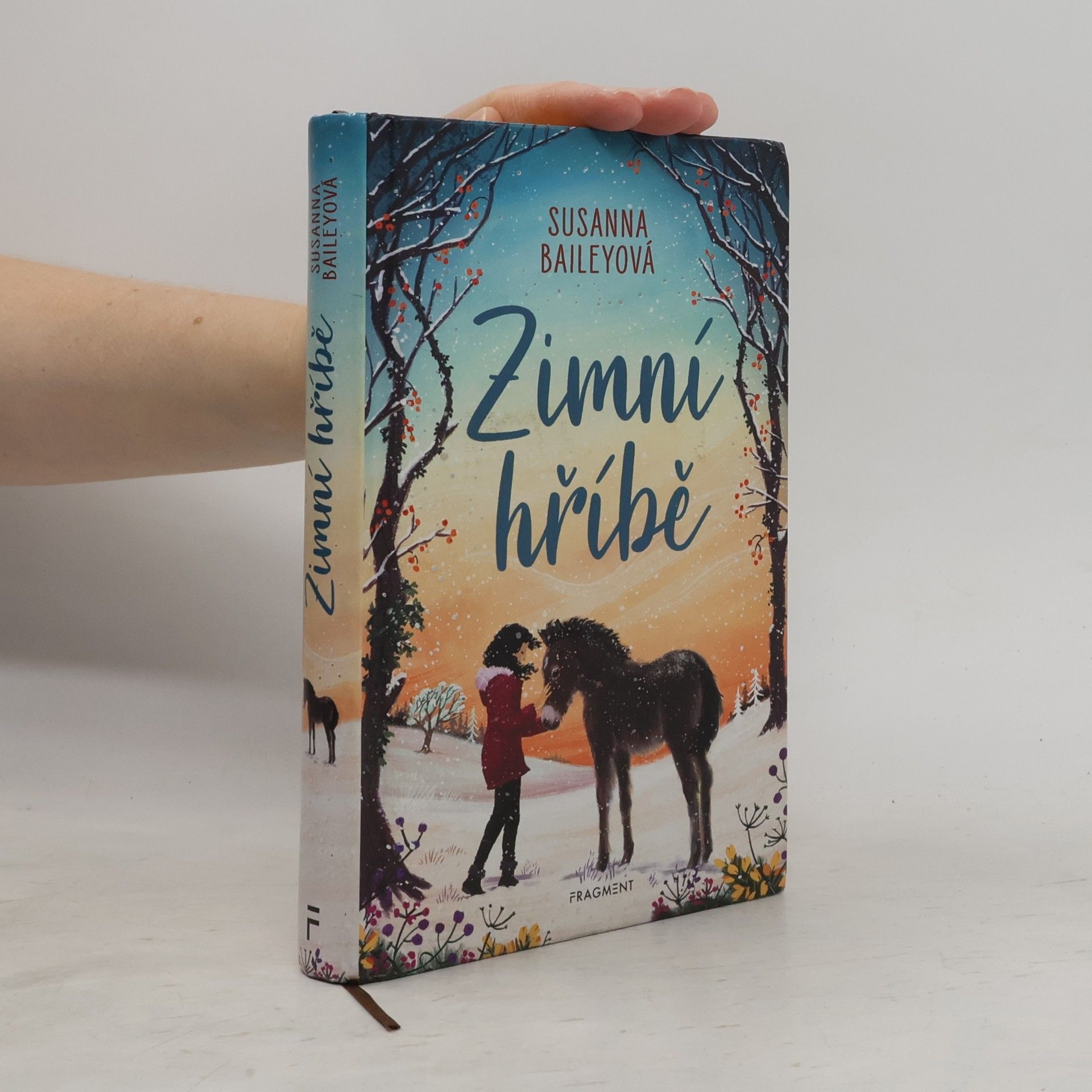 Susanna Bailey Zimní hříbě