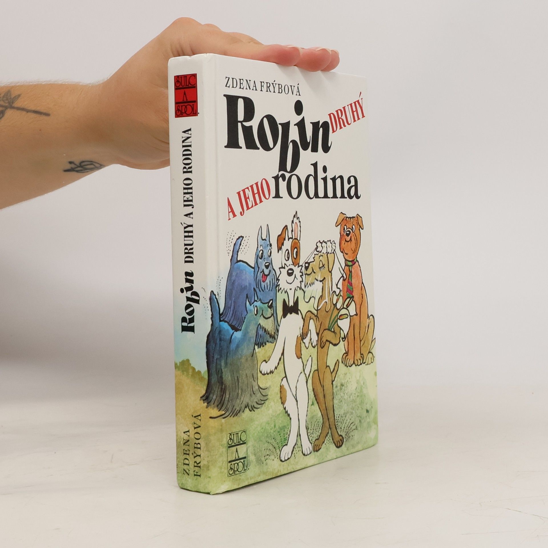 Zdena Frýbová Robin Druhý a jeho rodina