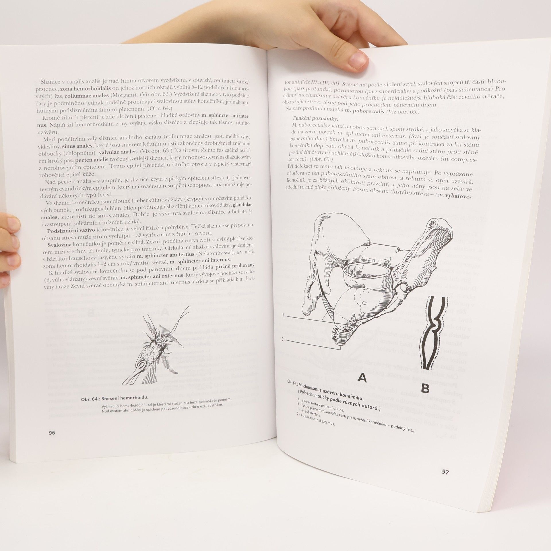 Ivan Dylevský Systematická, topografická a klinická anatomie IV.