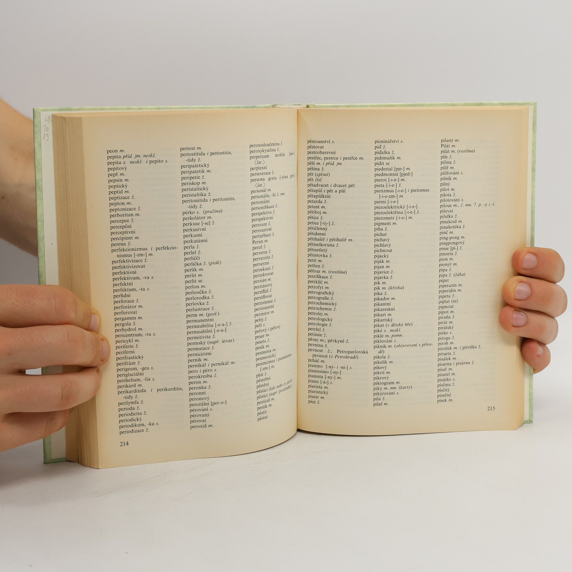 Autorenkollektiv Pravidla českého pravopisu