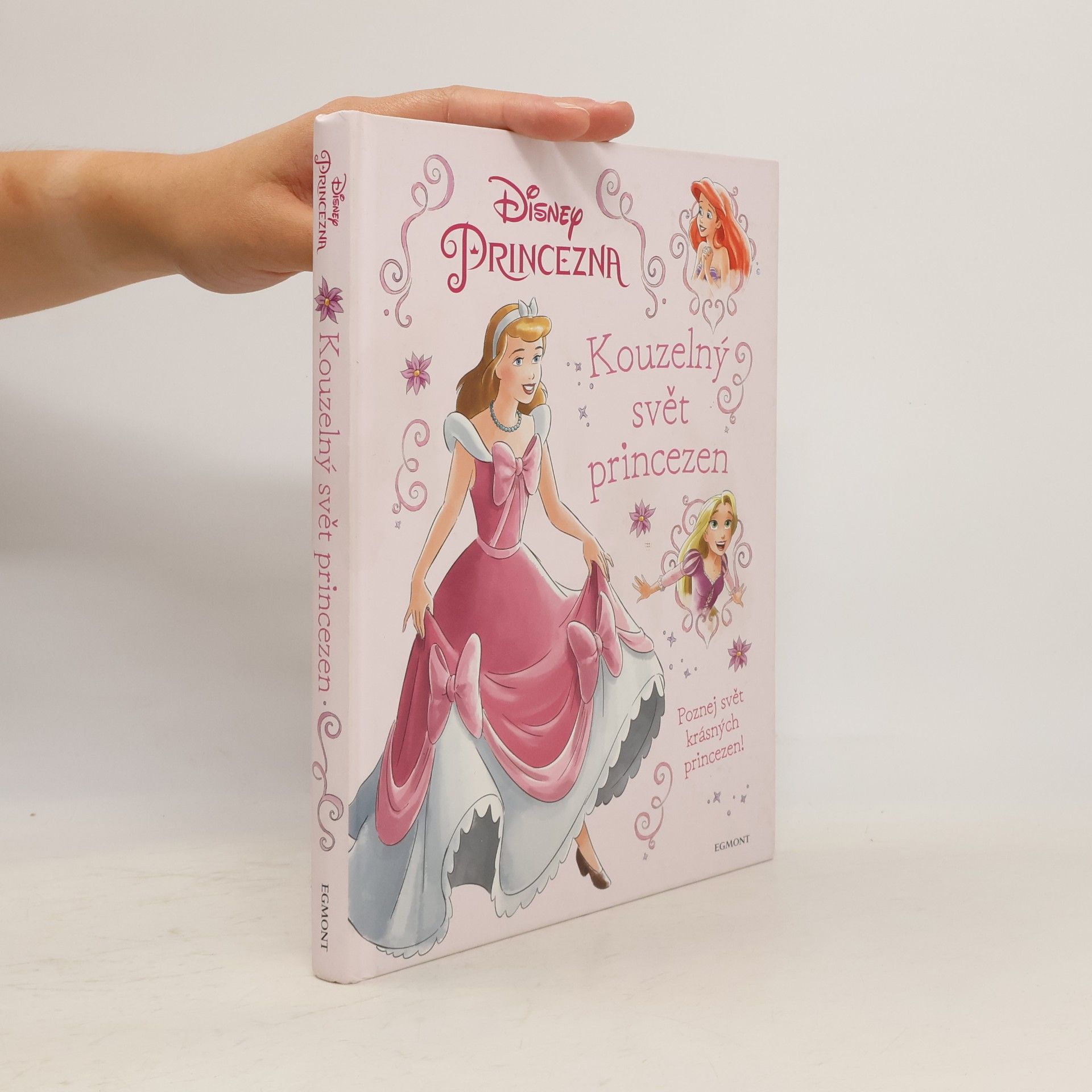 Walt Disney Kouzelný svět princezen