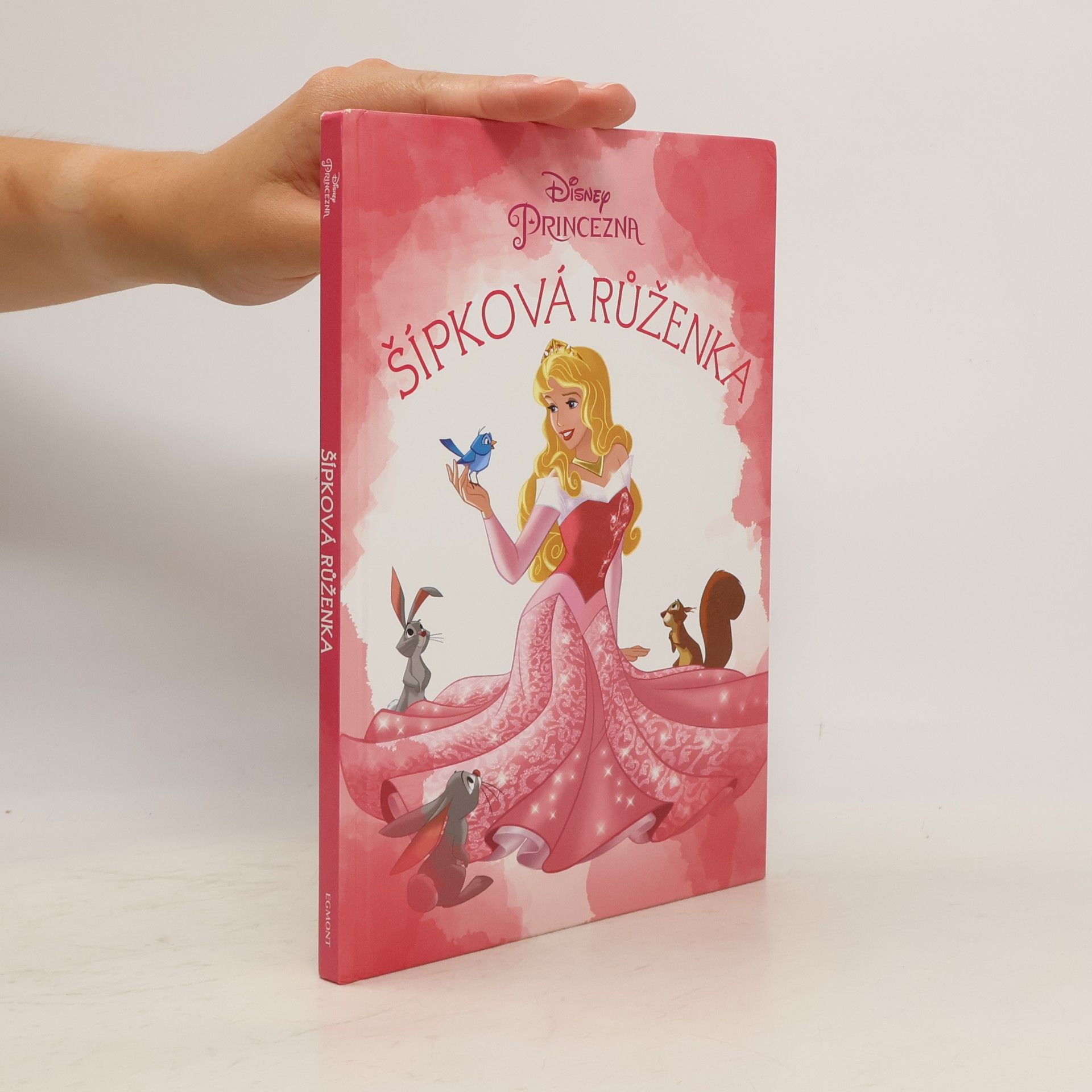 Disney Storybook Artists Šípková Růženka