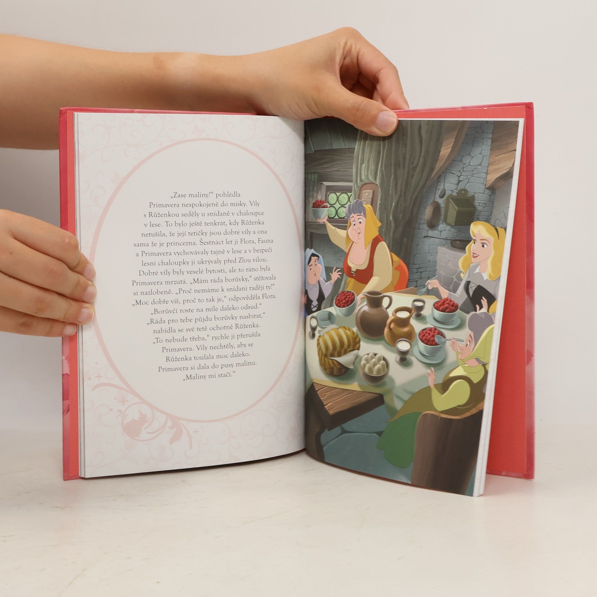Disney Storybook Artists Šípková Růženka