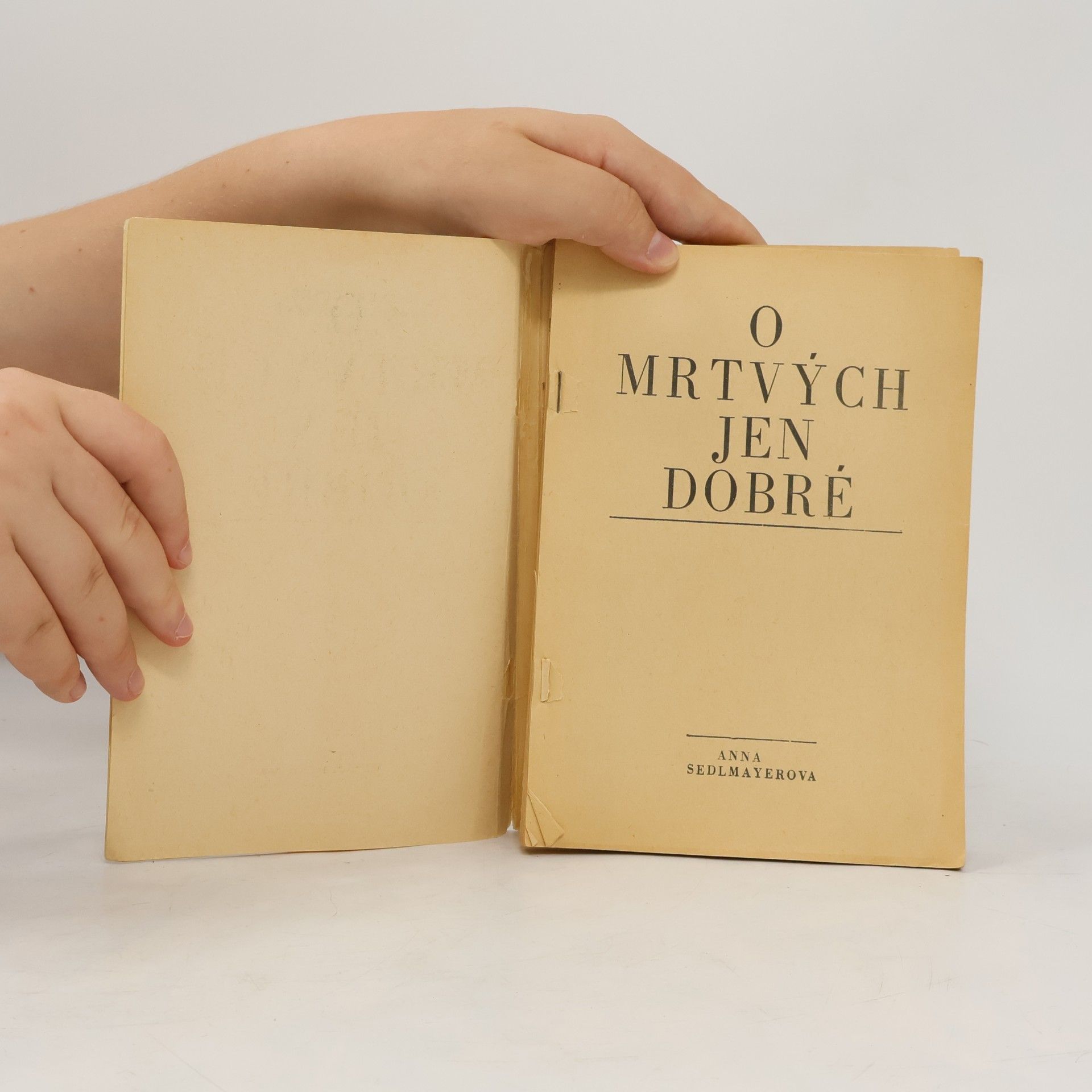 Anna Sedlmayerová O mrtvých jen dobré