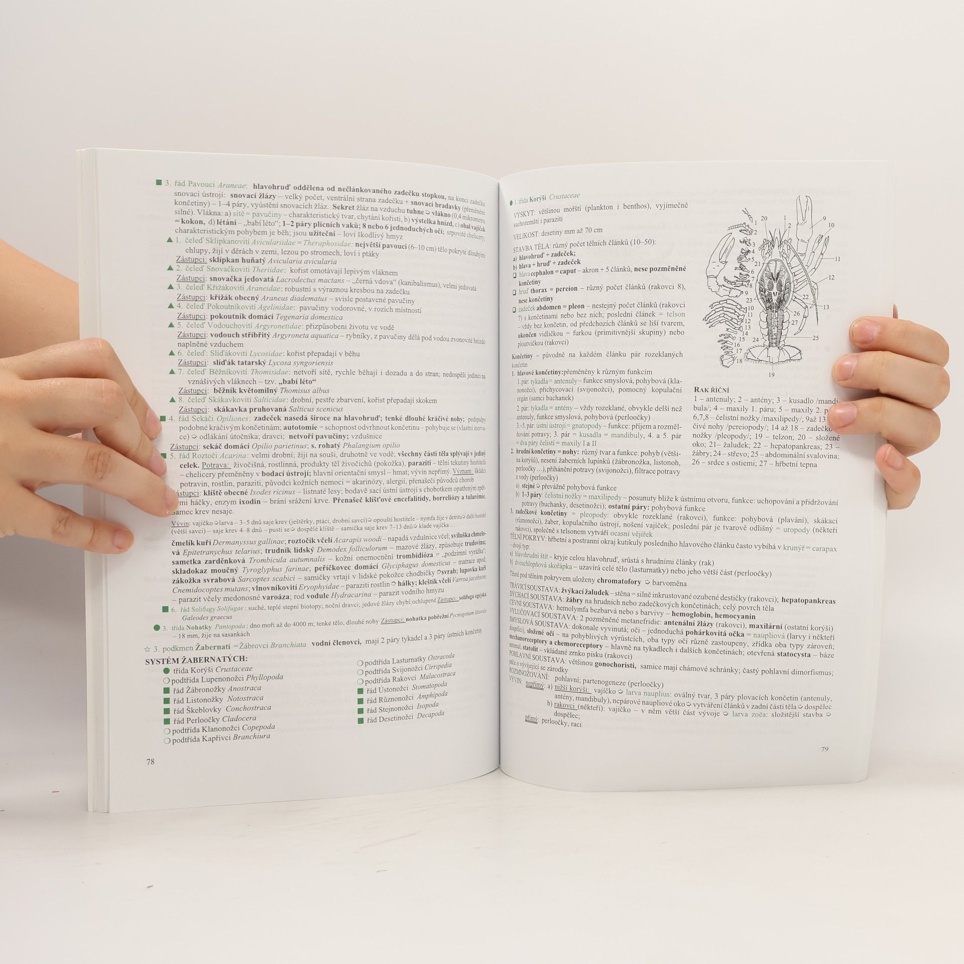 Hana Hančová Biologie v kostce: Pro střední školy. 2. díl