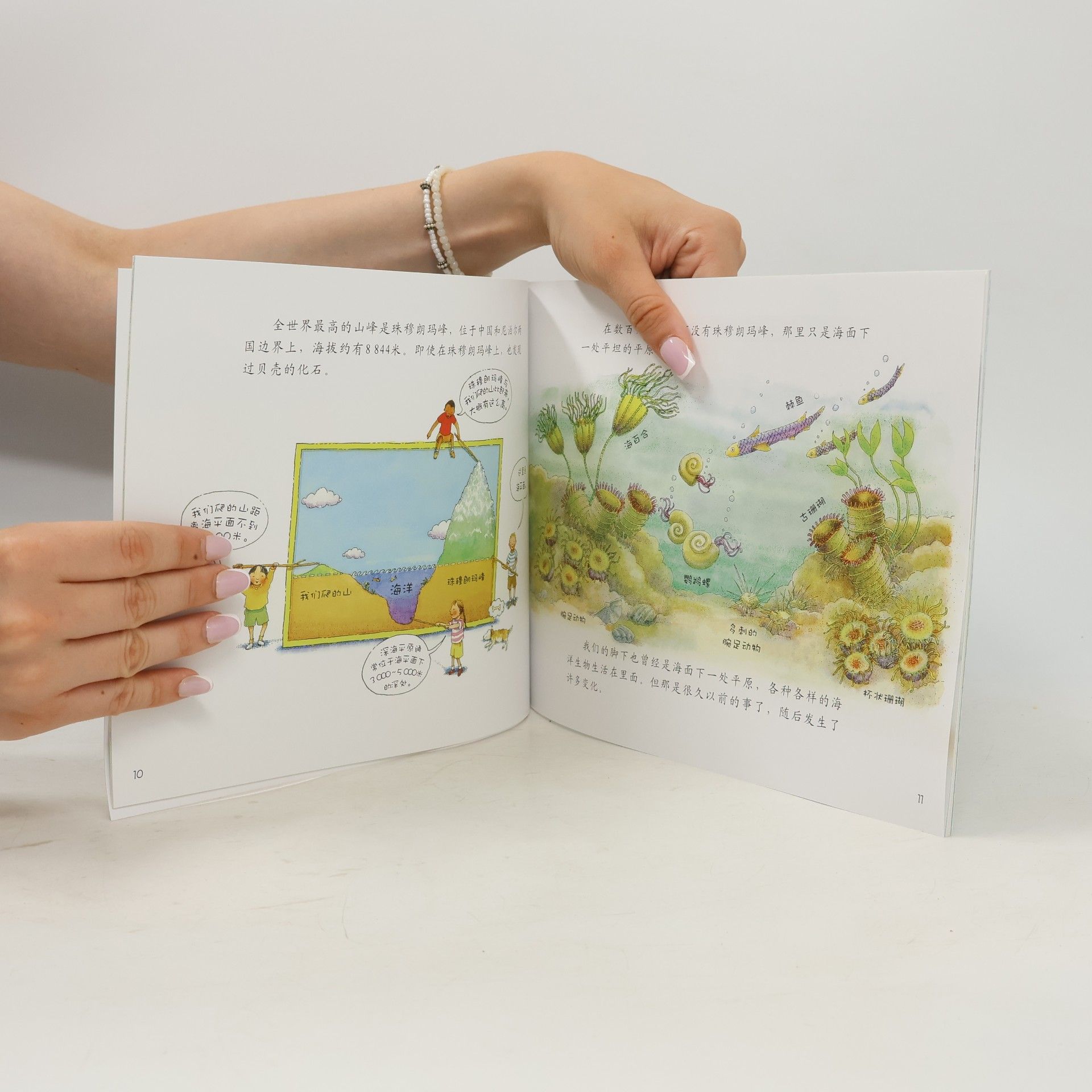 凯瑟琳·W.佐伊费尔德 高山是怎么形成的 (自然科学启蒙·第十一辑)