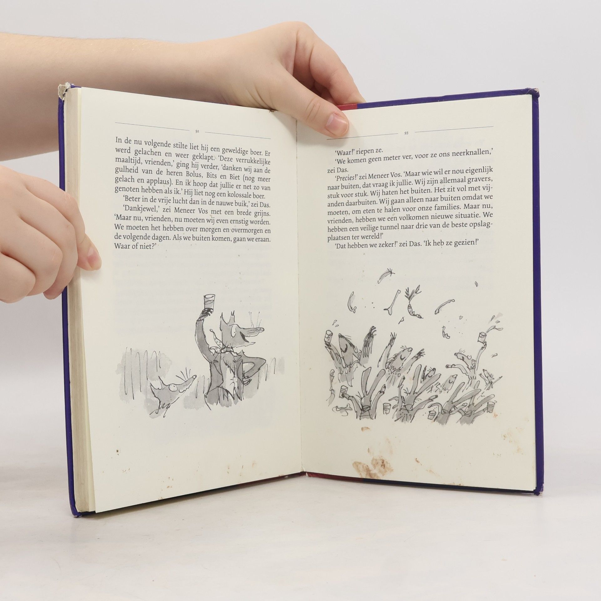 Roald Dahl De fantastische meneer Vos