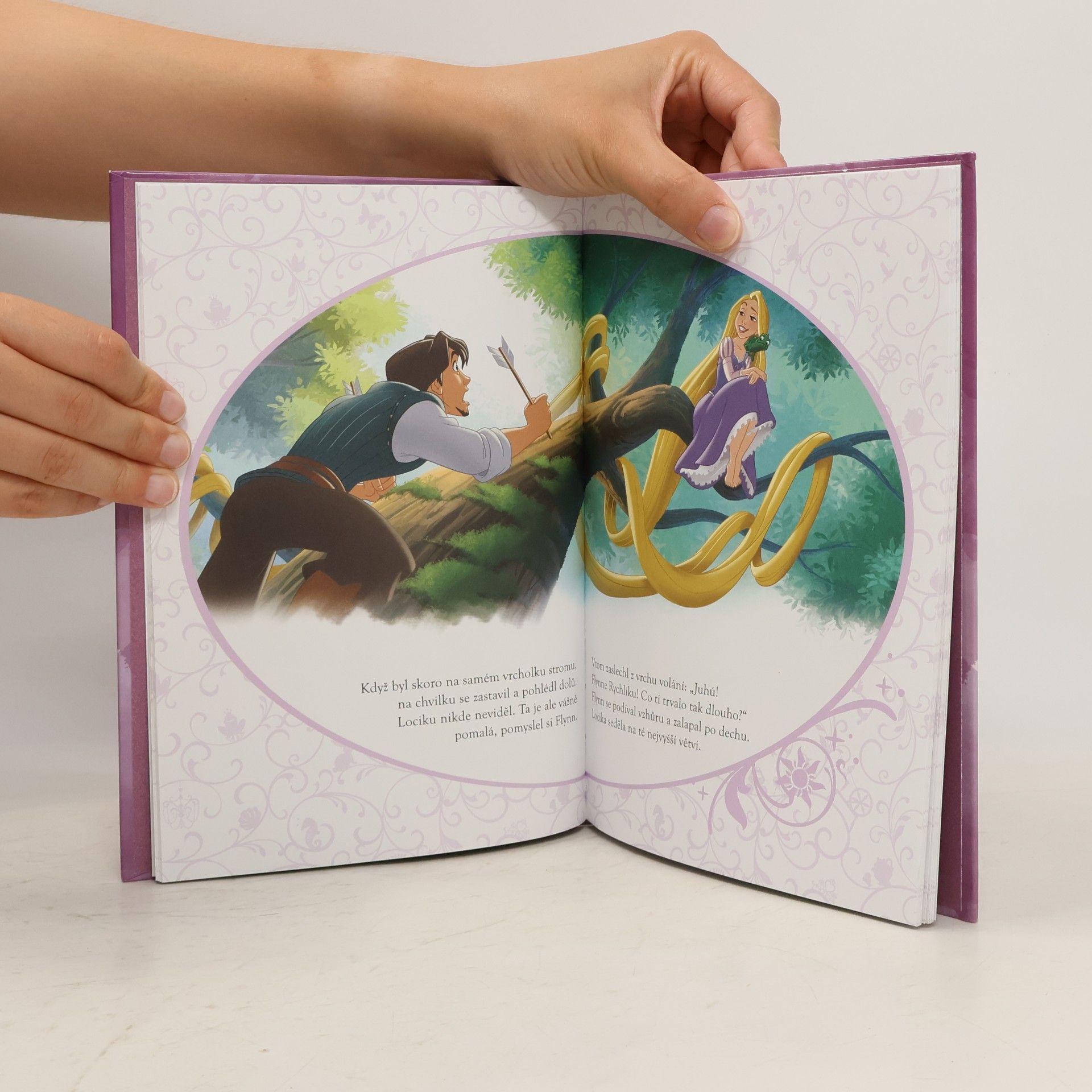 Kolektiv autorů Disney Princezna. Locika
