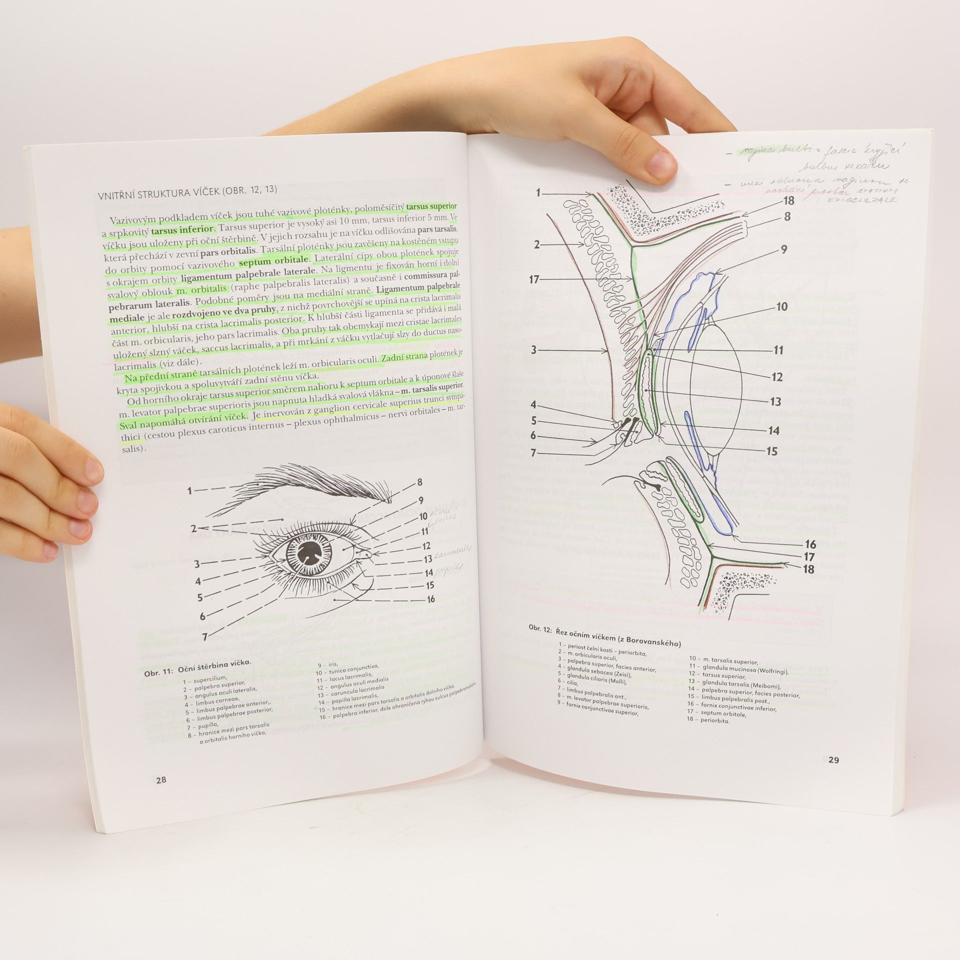 Pavel Petrovický Systematická, topografická a klinická anatomie