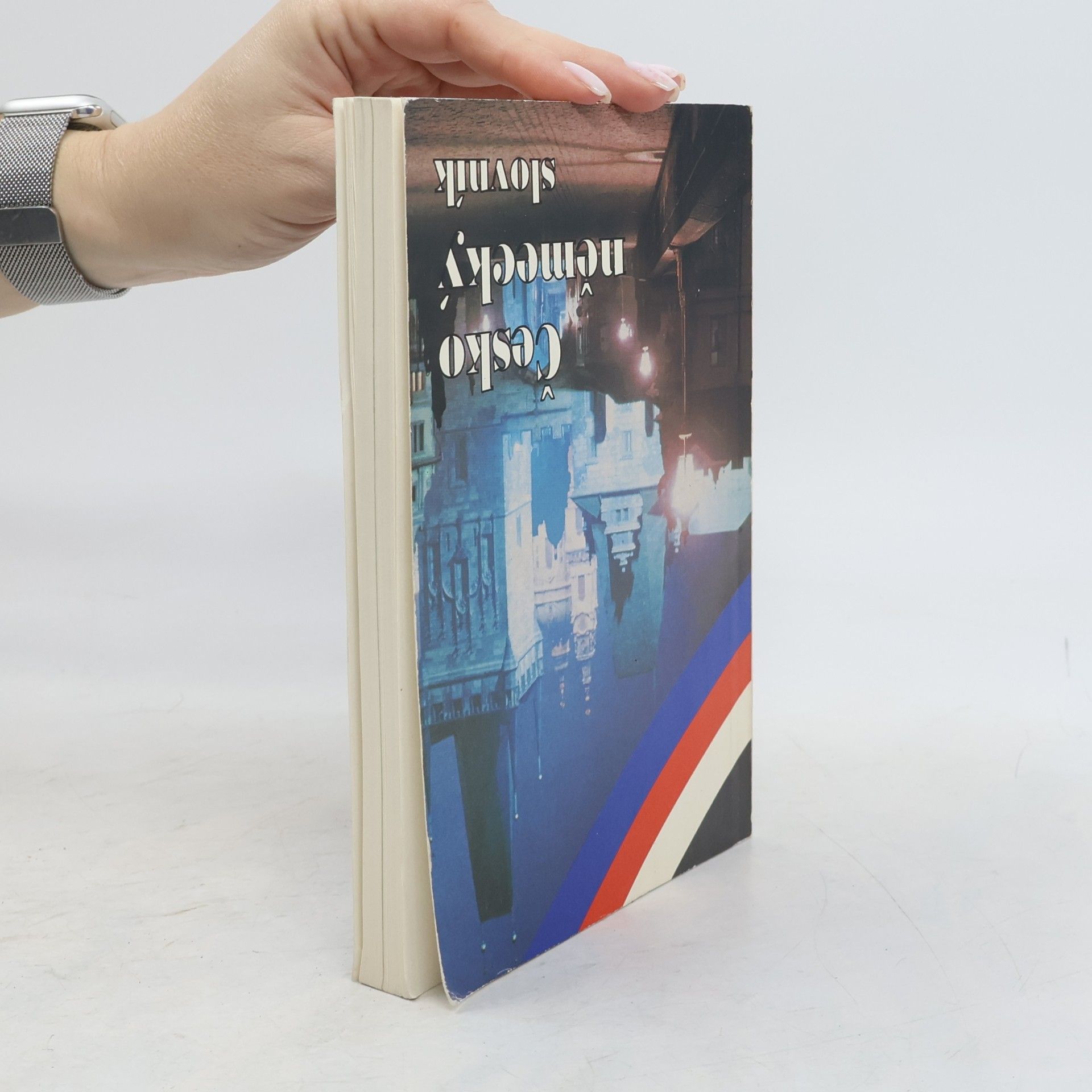 Autorenkollektiv Německo-český slovník
