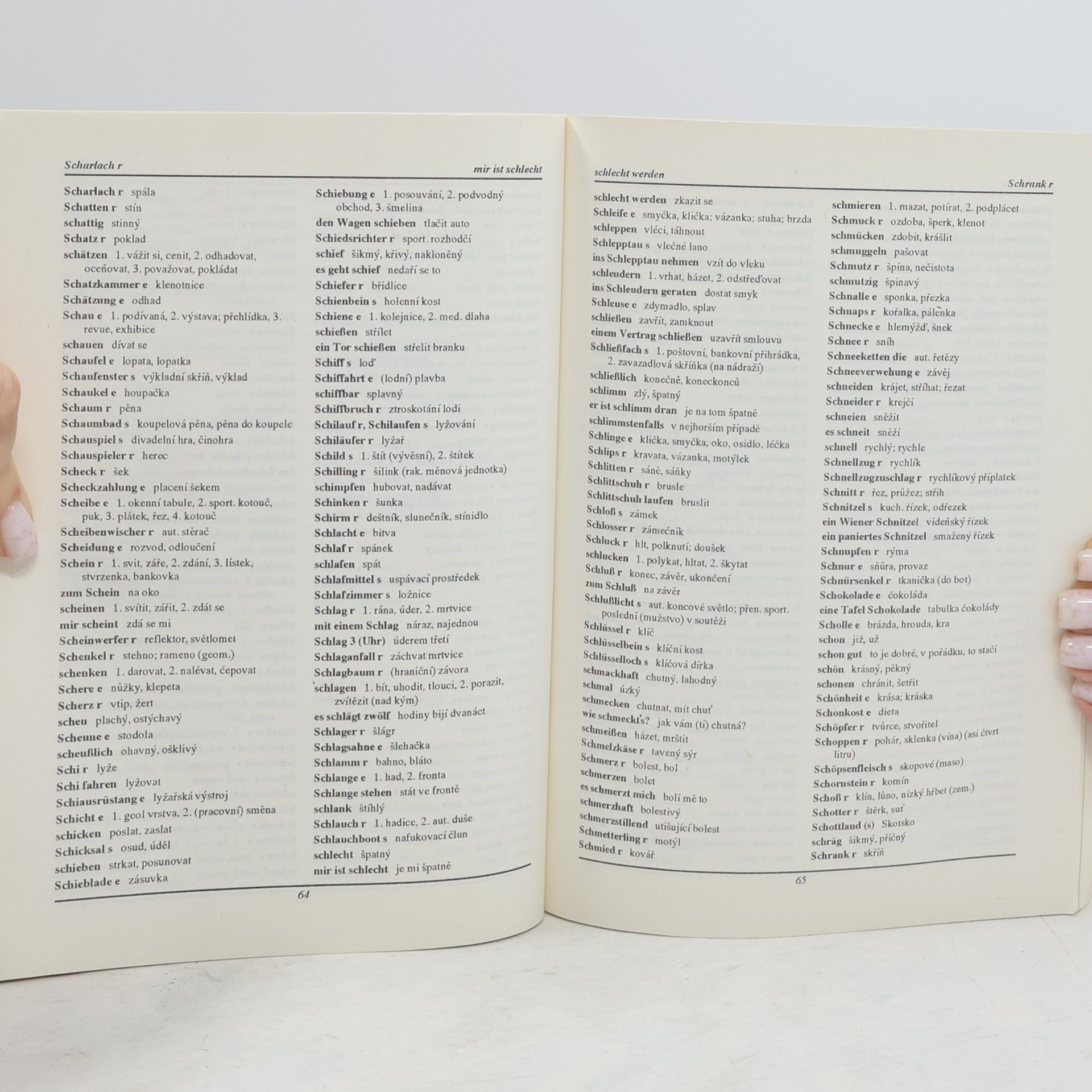 Autorenkollektiv Německo-český slovník