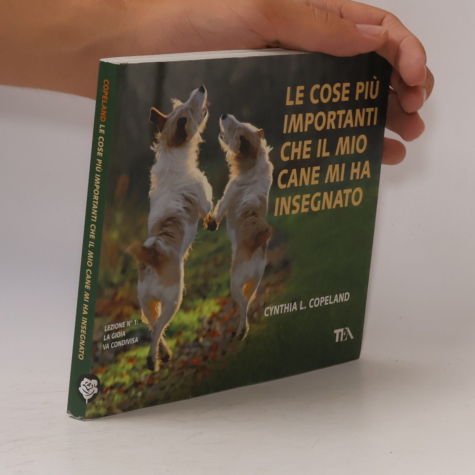Cynthia L. Copeland Le cose più importanti che il mio cane mi ha insegnato