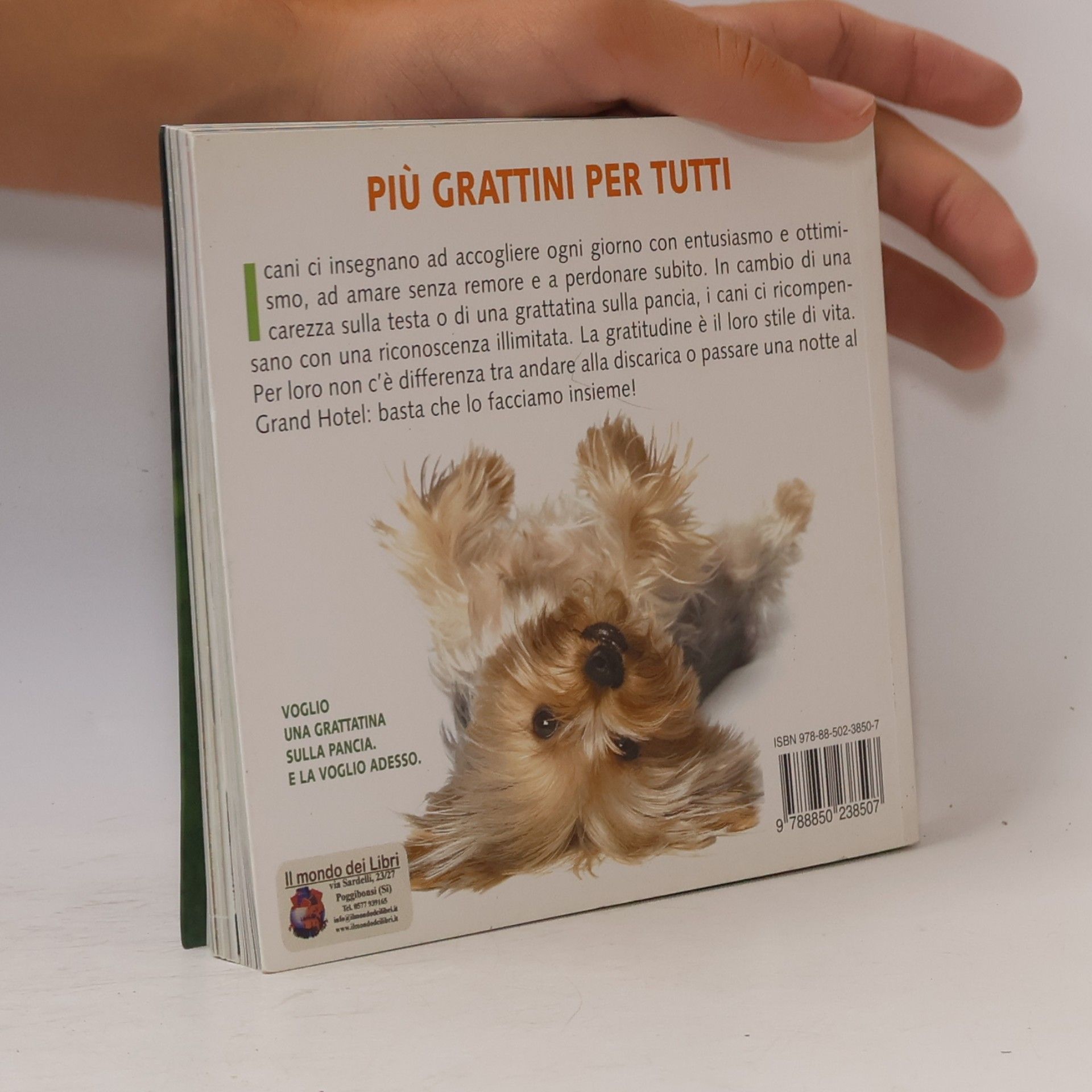 Cynthia L. Copeland Le cose più importanti che il mio cane mi ha insegnato