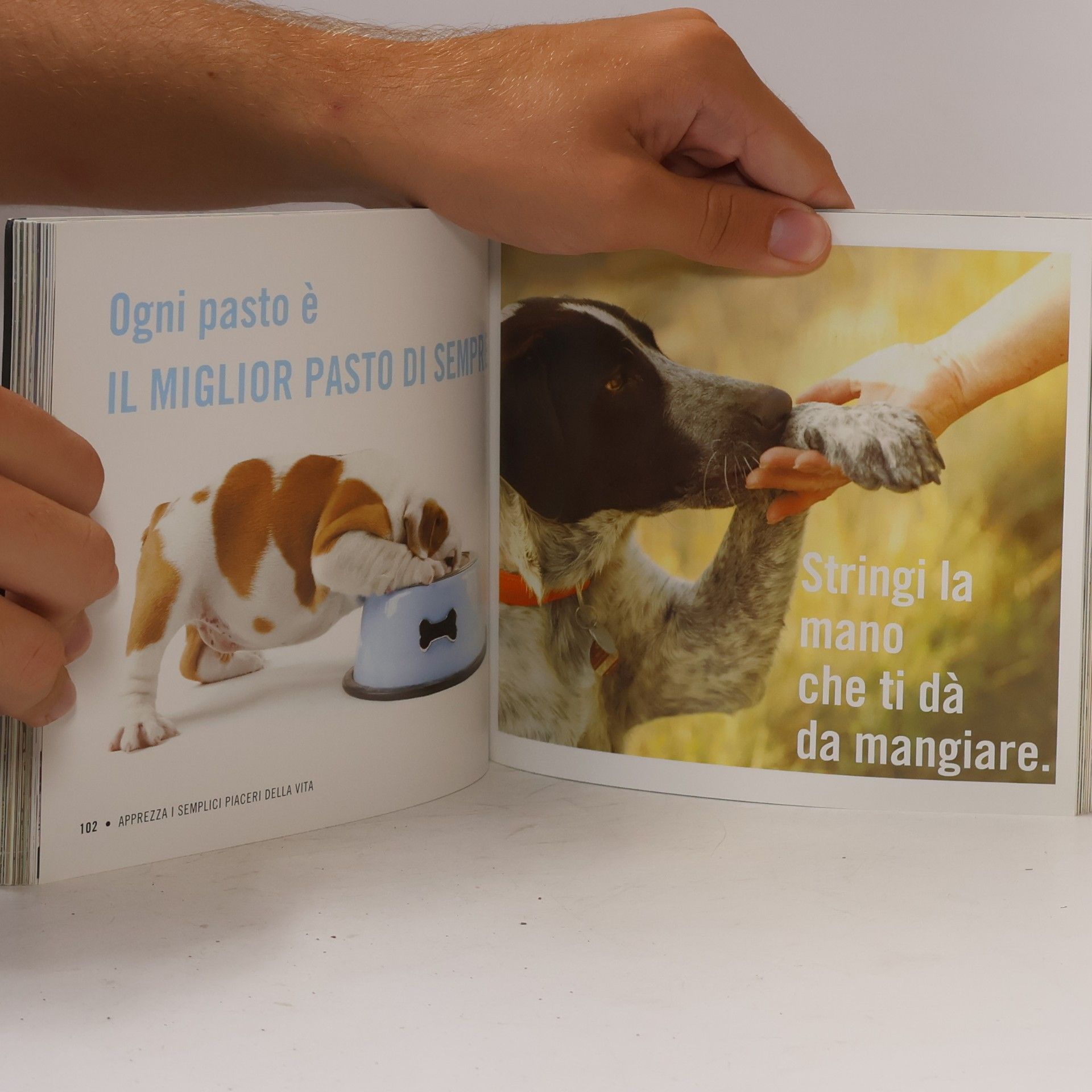 Cynthia L. Copeland Le cose più importanti che il mio cane mi ha insegnato