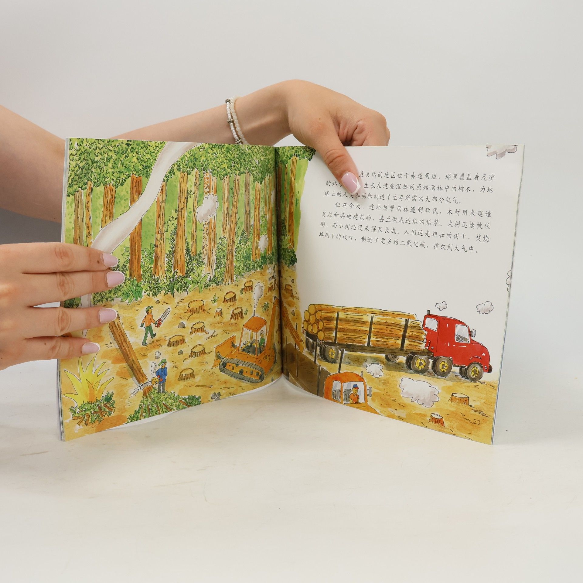 Anne Rockwell Let's Read-and-Find-Out Science - 12: 地球为什么变暖了