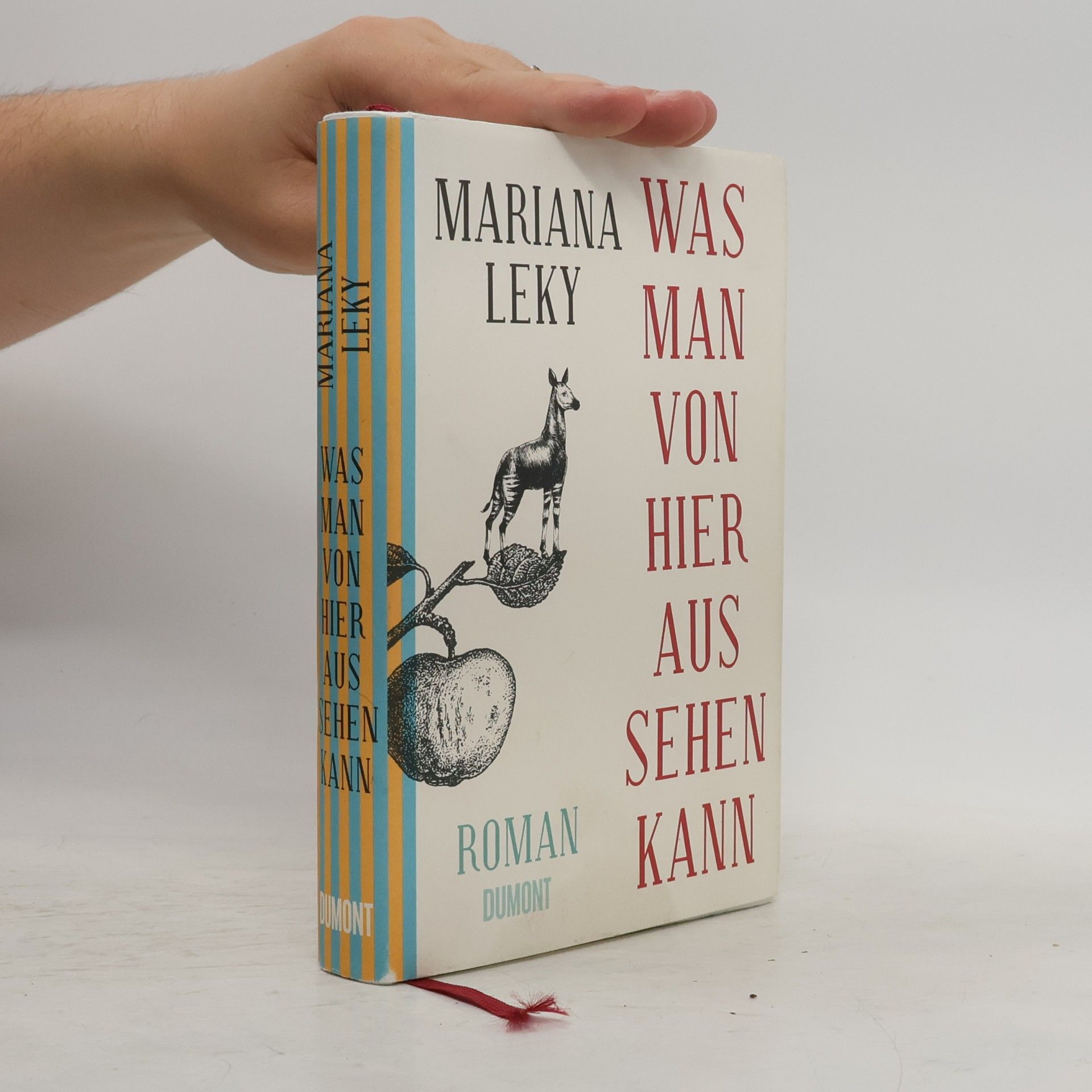 Mariana Leky Was man von hier aus sehen kann