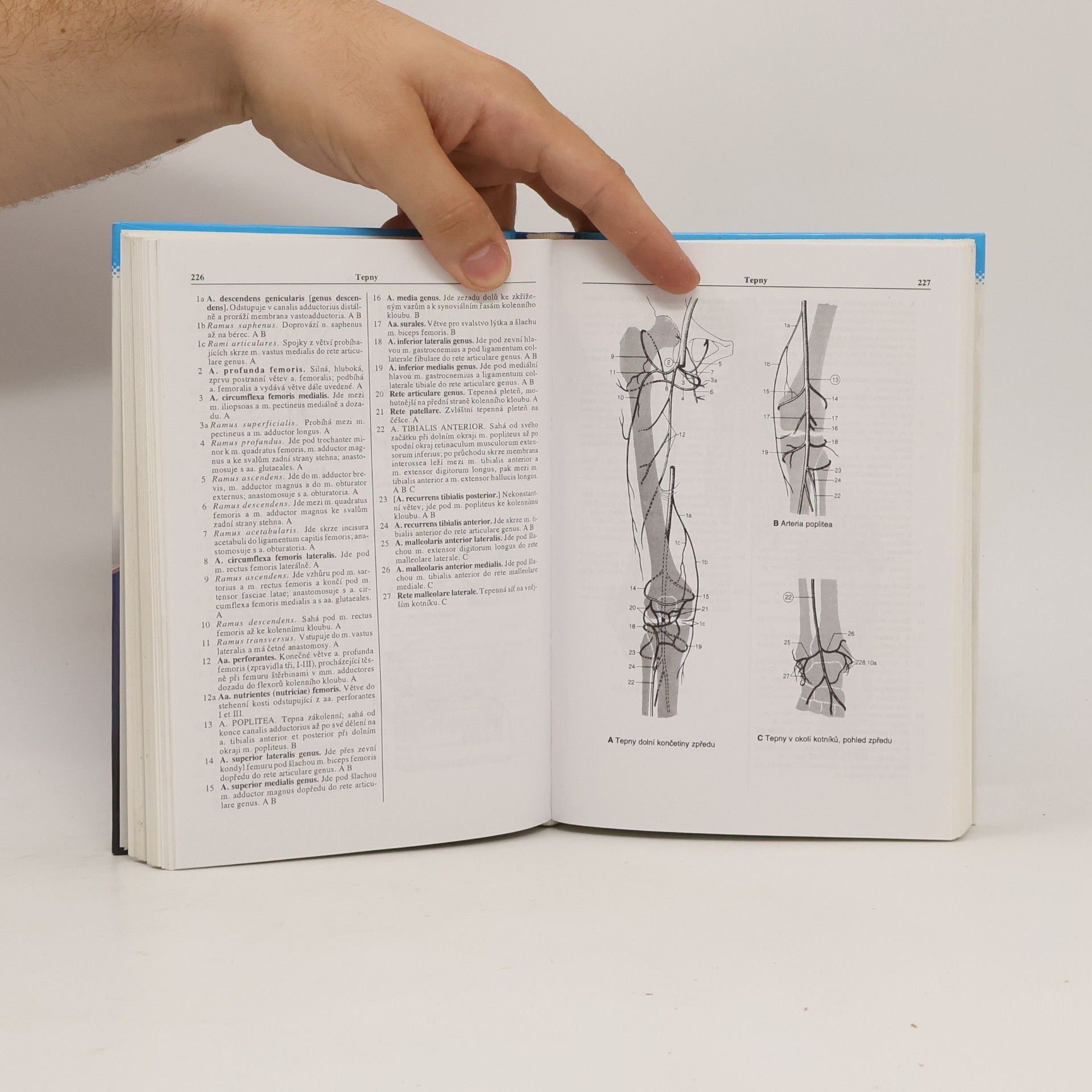 Heinz Feneis Anatomický obrazový slovník