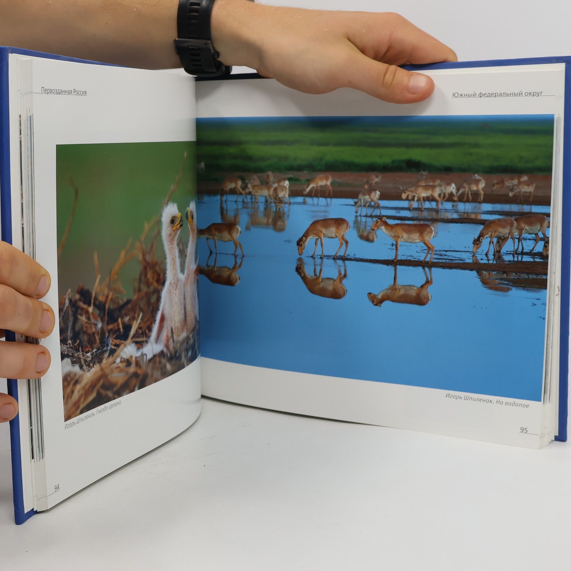 Autores varios Первозданная Россия