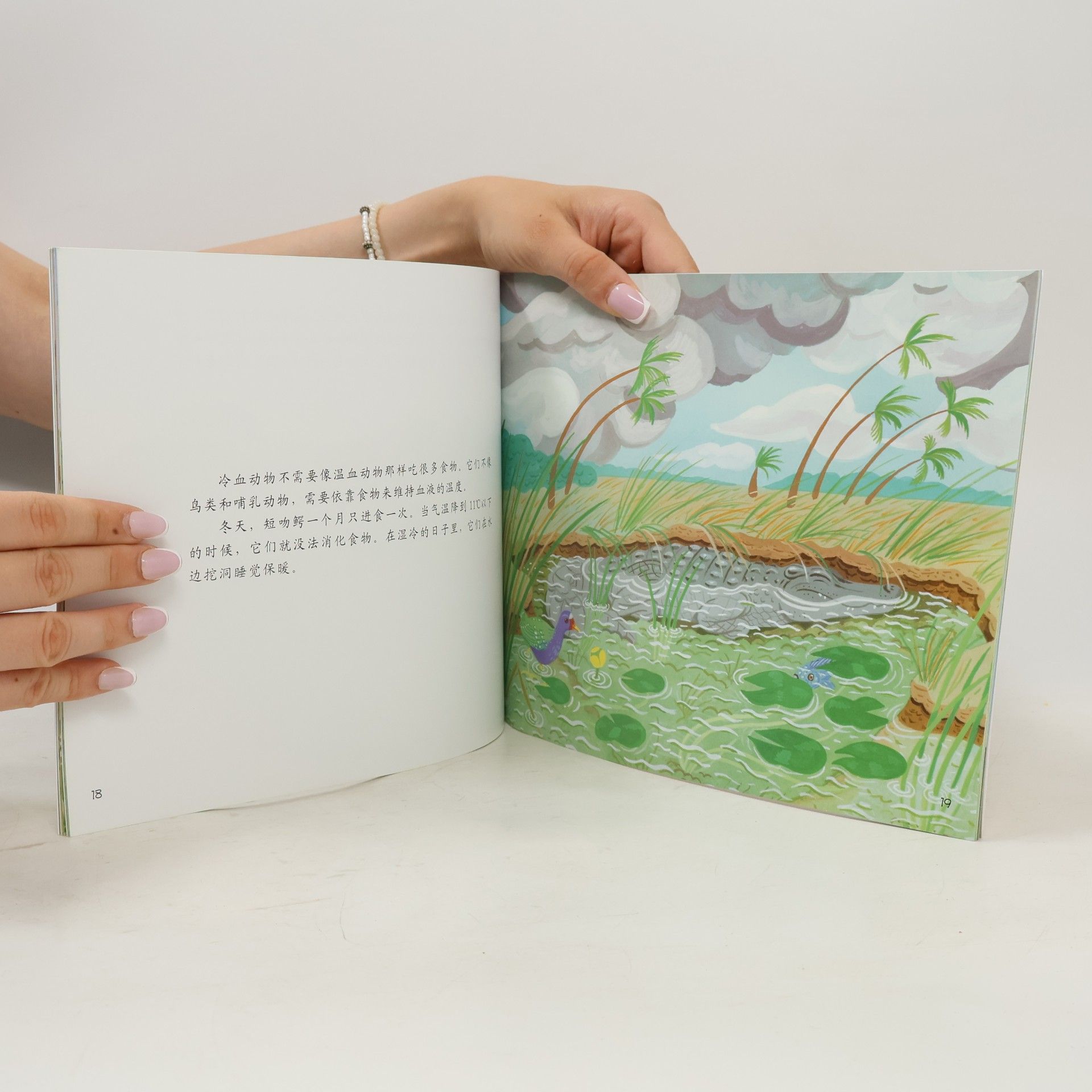 安妮·罗克韦尔 自然科学启蒙 - 10: 谁住在鳄鱼洞里
