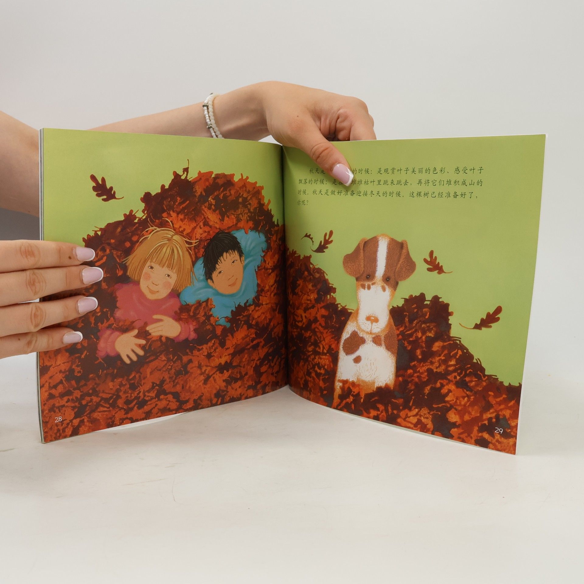 贝齐·马埃斯勒 Let's-Read-and-Find-Out: 自然科学启蒙: 为什么叶子会变色