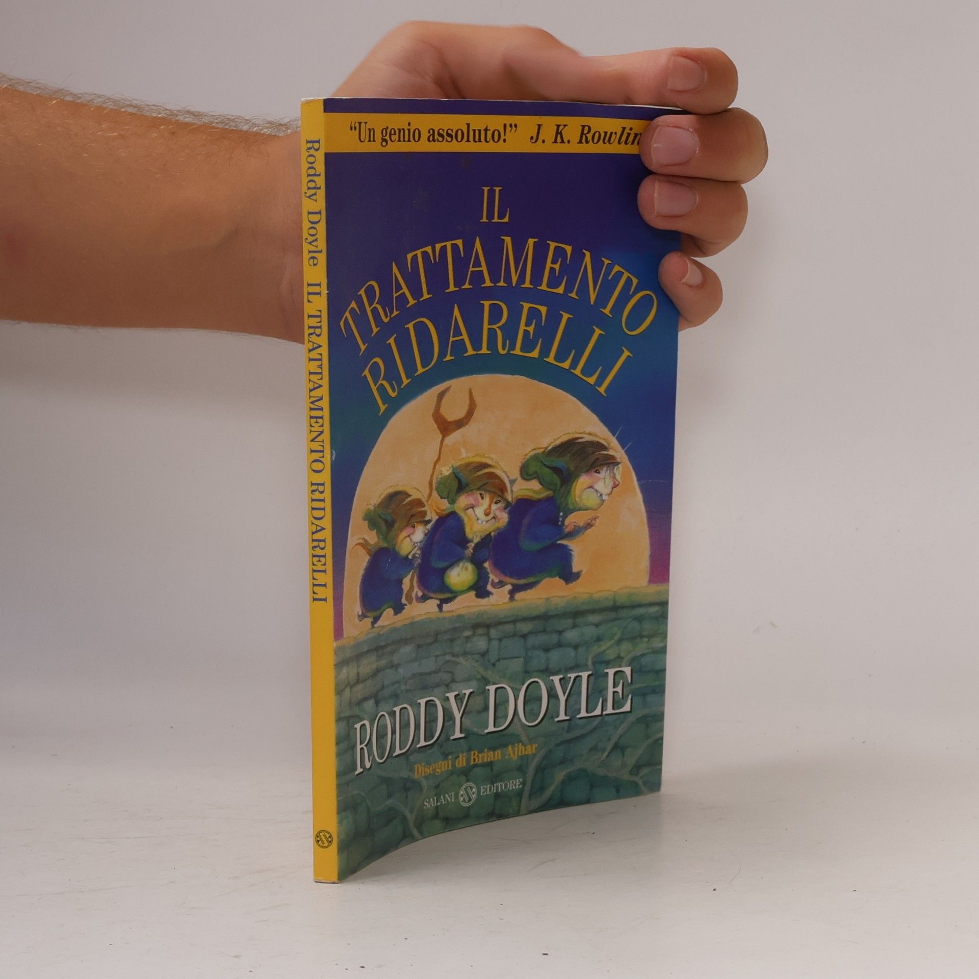 Roddy Doyle Il trattamento Ridarelli