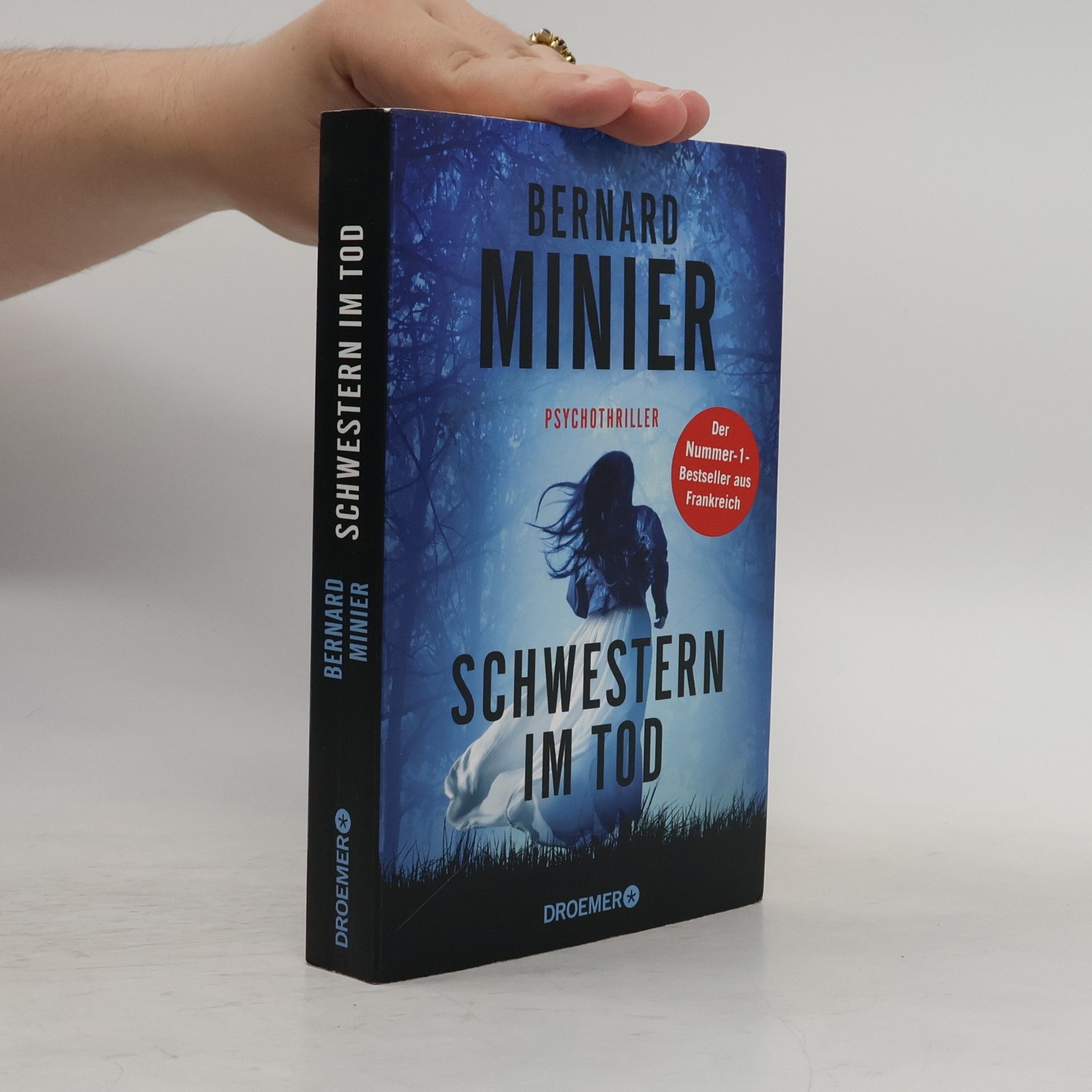 Bernard Minier Schwestern im Tod