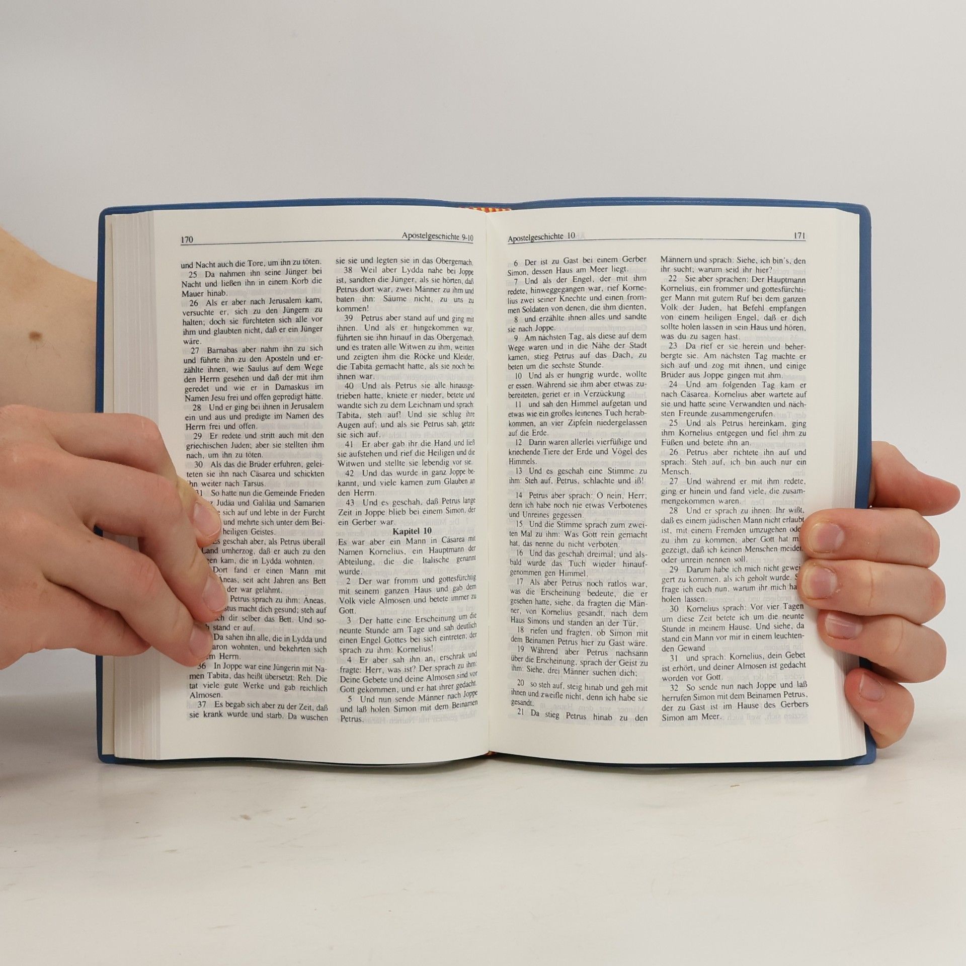 Autorenkollektiv Nový zákon. Das neue testament. The New Testament