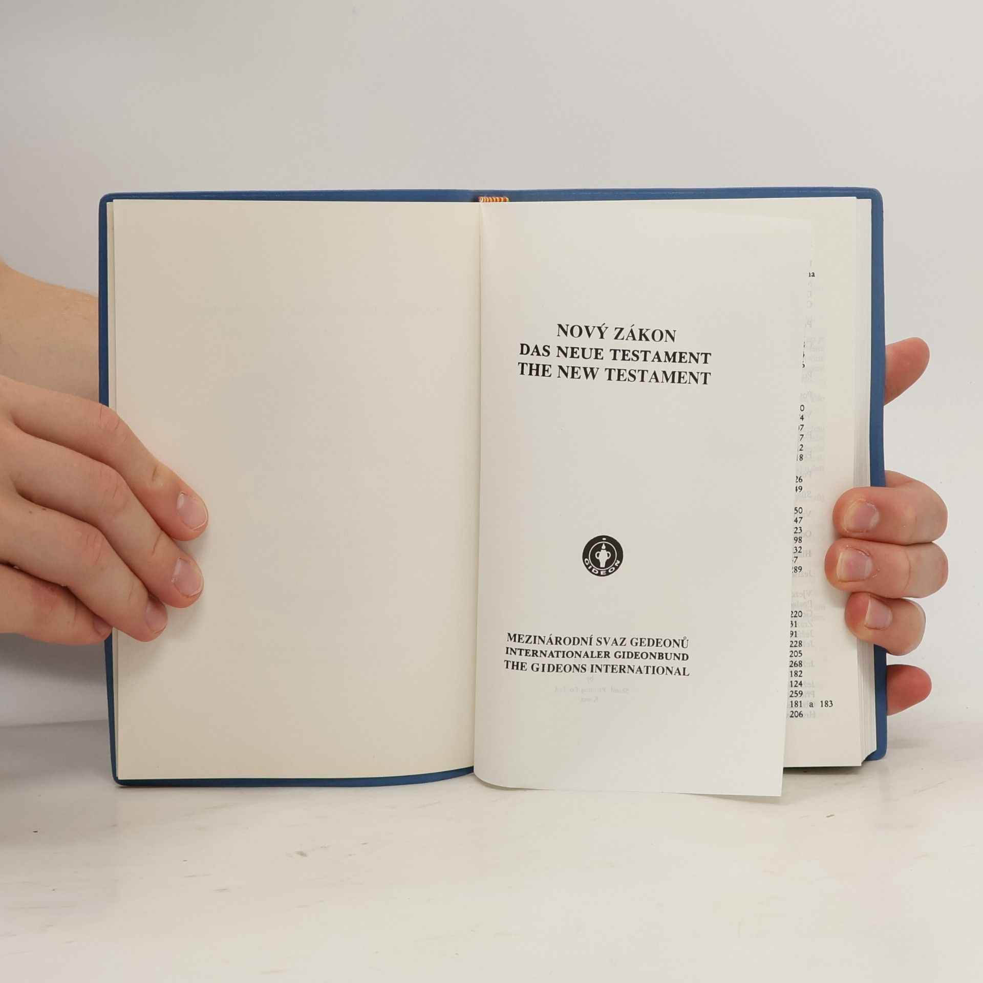 Autorenkollektiv Nový zákon. Das neue testament. The New Testament
