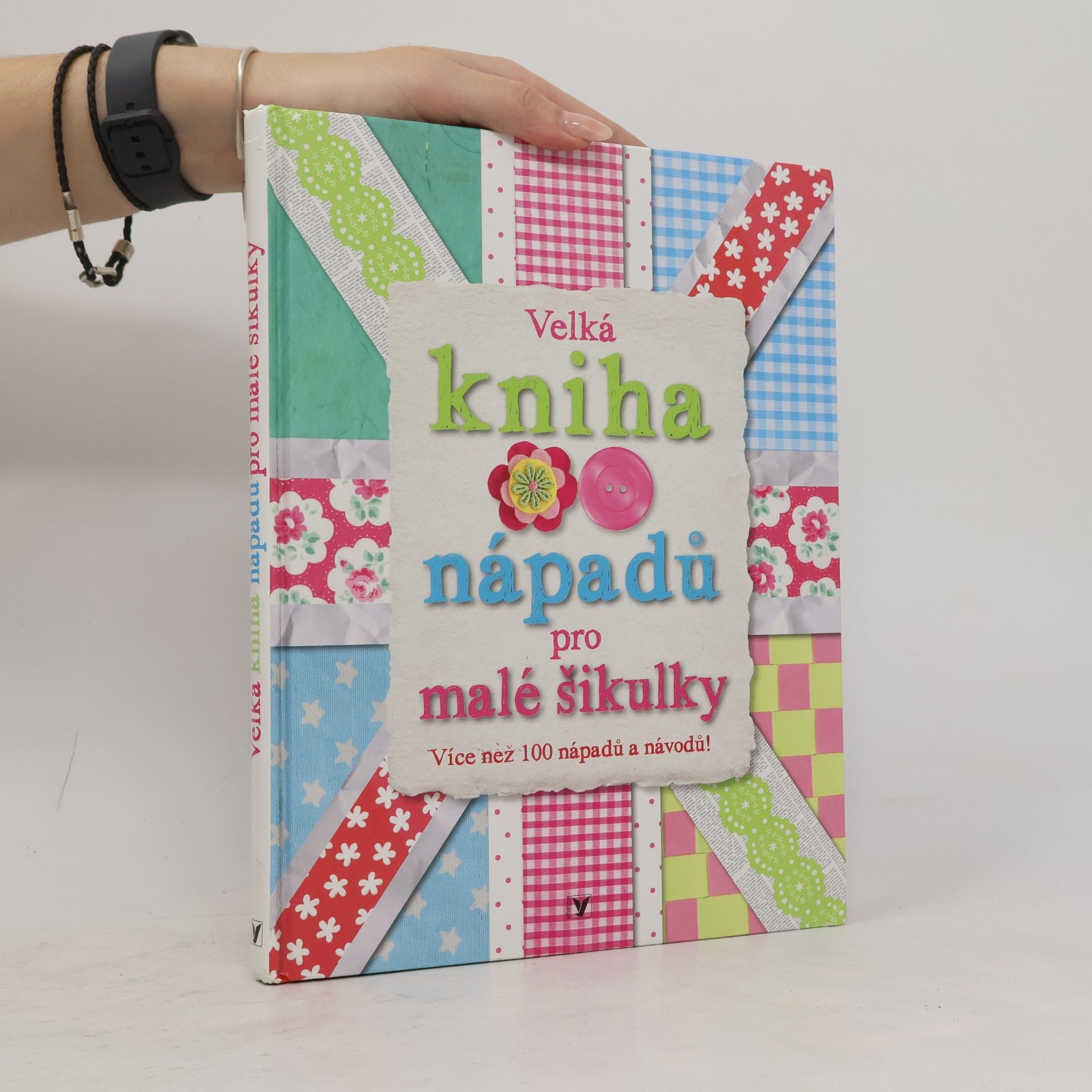 Autorenkollektiv Velká kniha nápadů pro malé šikulky