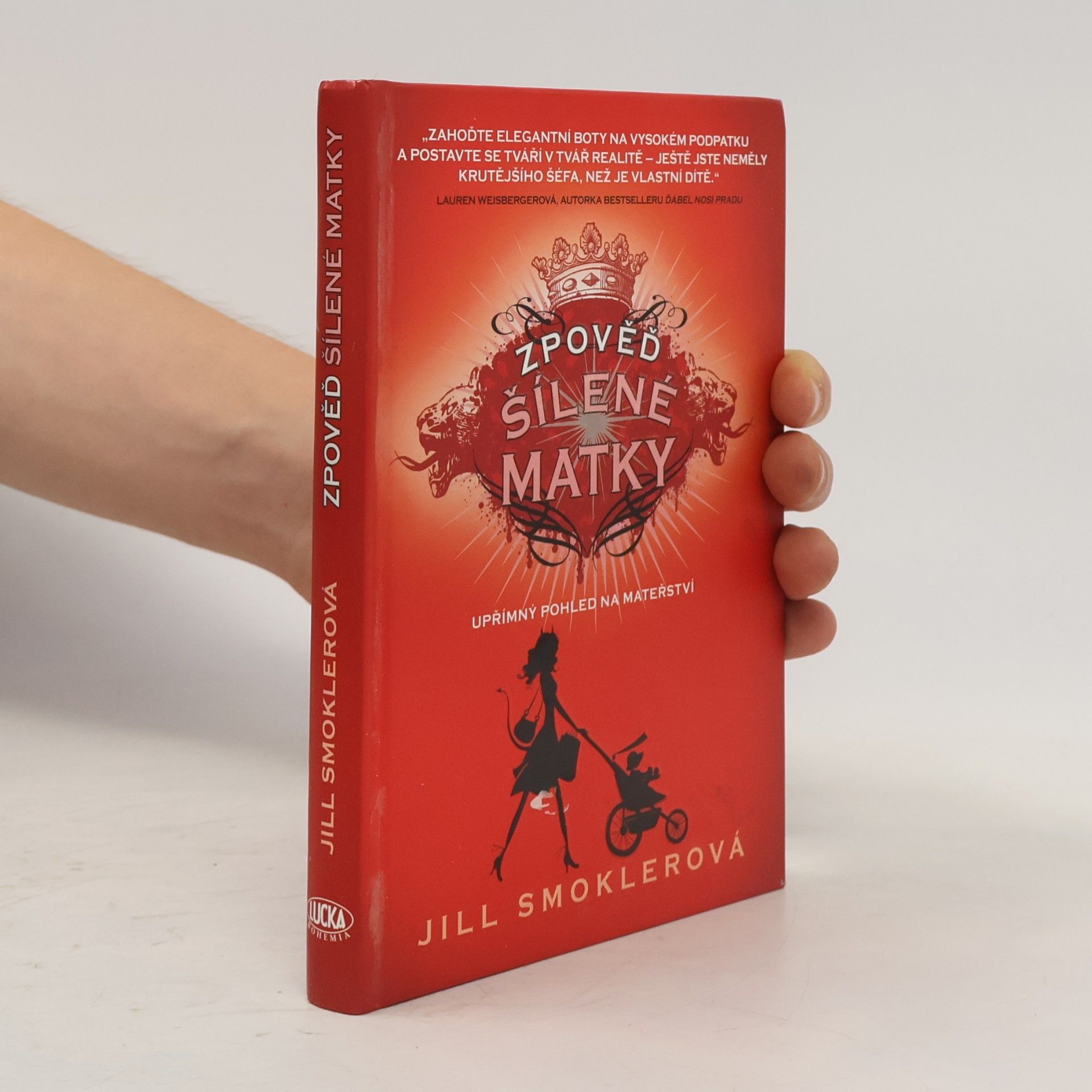 Jill Smokler Zpověď šílené matky. Upřímný pohled na mateřství