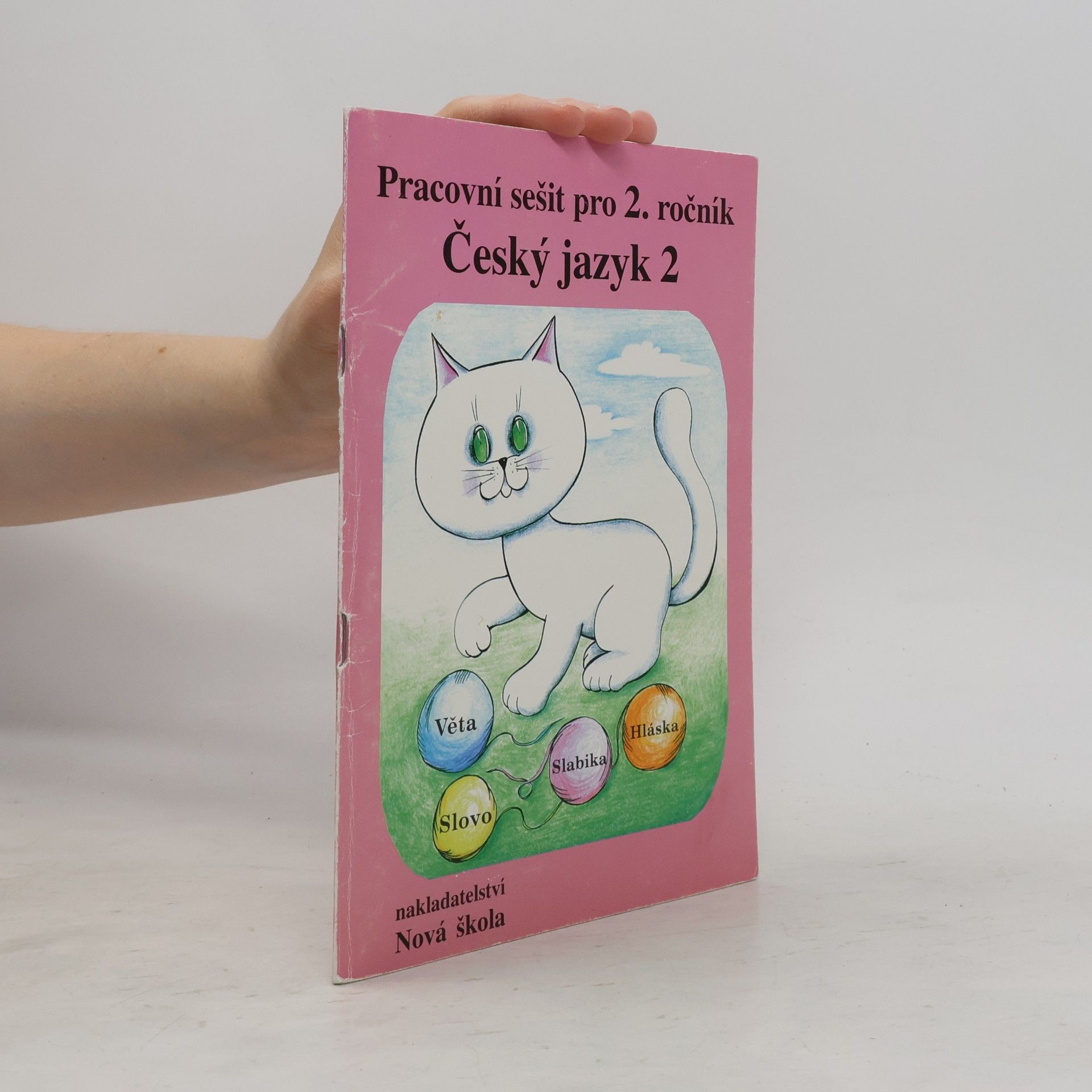Český jazyk 2: pracovní sešit pro 2. ročník