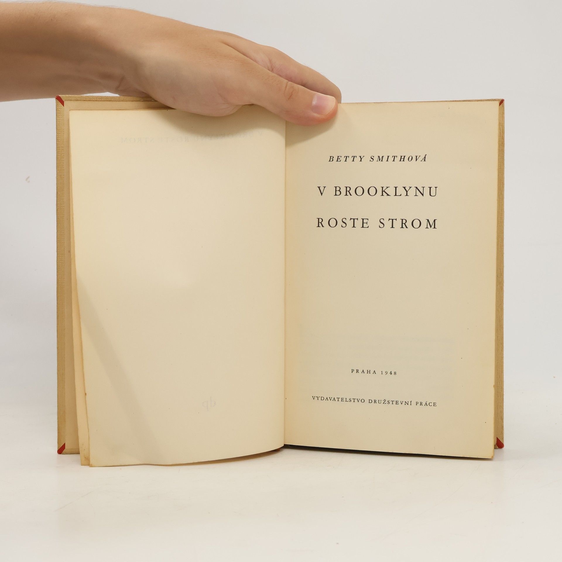 Alois Josef Šťastný V Brooklynu roste strom
