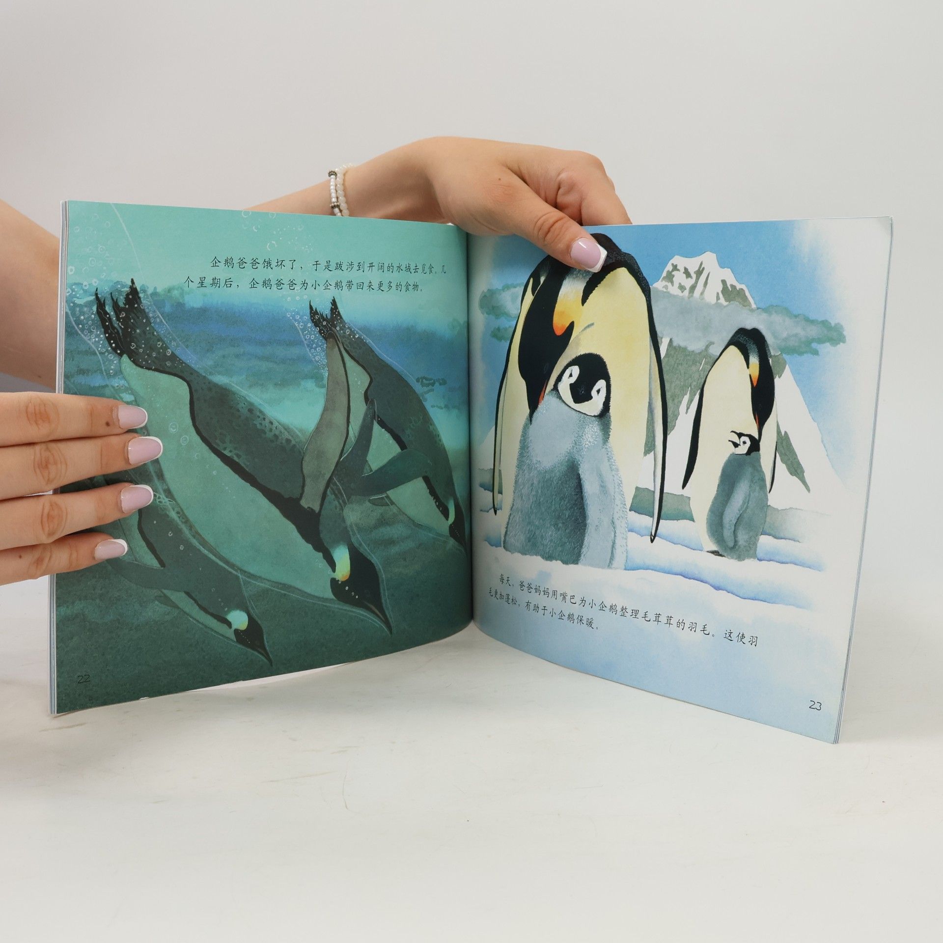 Katie Qin En 自然科学启蒙: Let's Read-and-Find-Out! Science - 11: 企鹅宝宝怎样长大