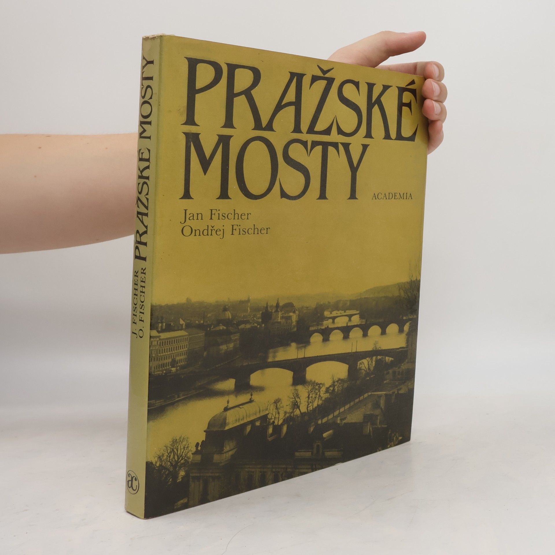 Ondřej Fischer Pražské mosty