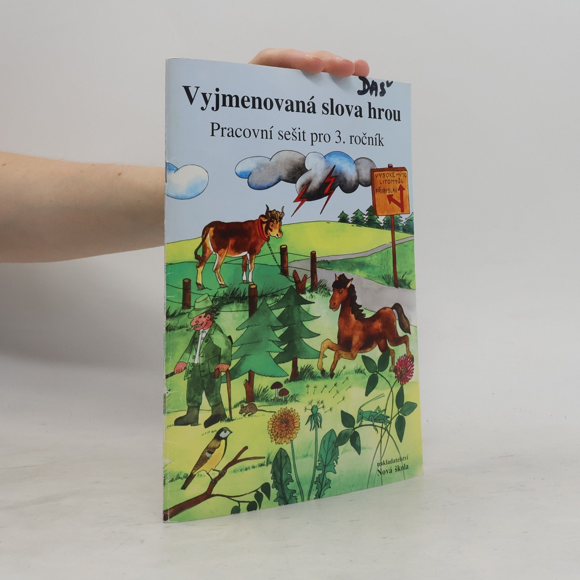 Vyjmenovaná slova hrou: Pracovní sešit pro 3. ročník