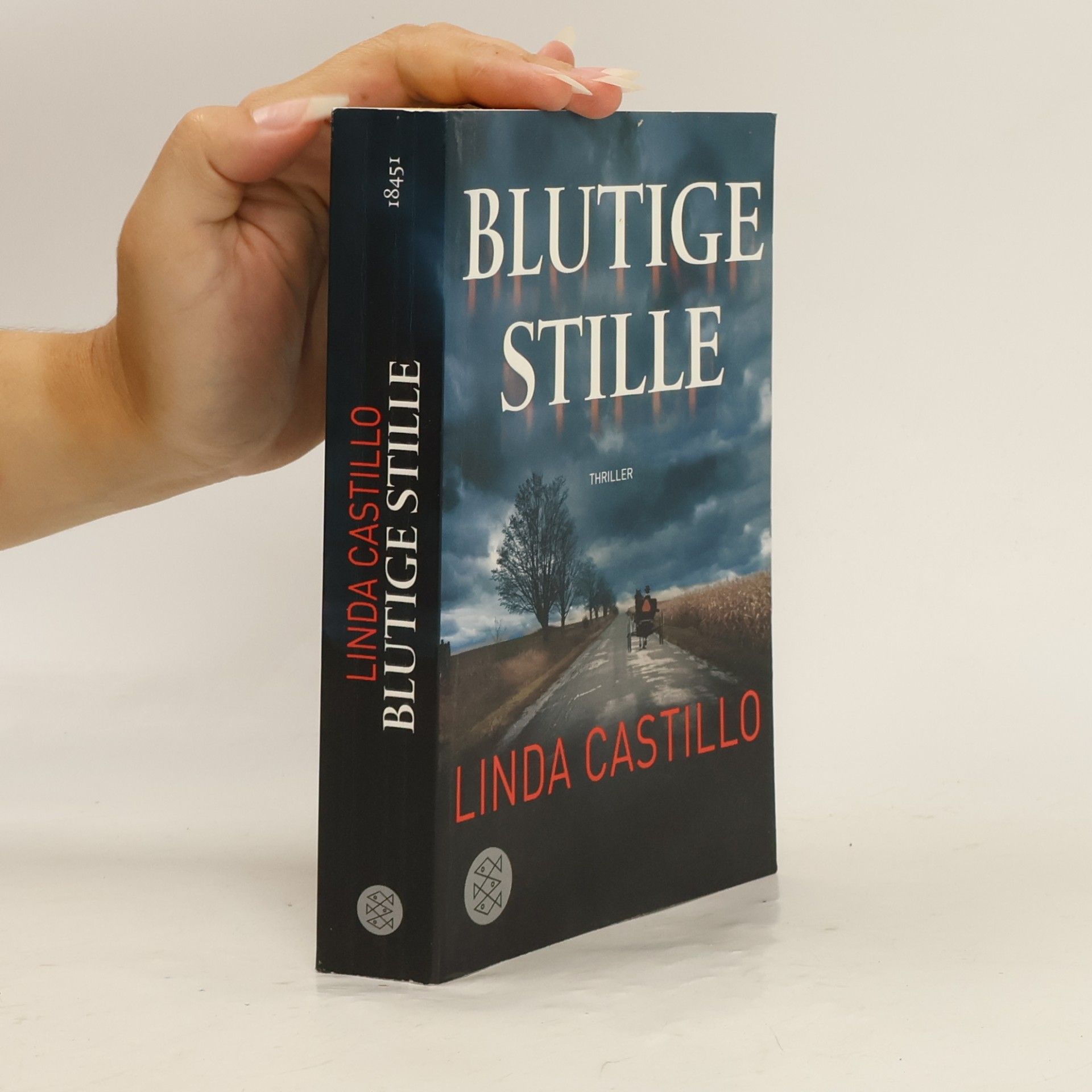 Linda Castillo Blutige Stille
