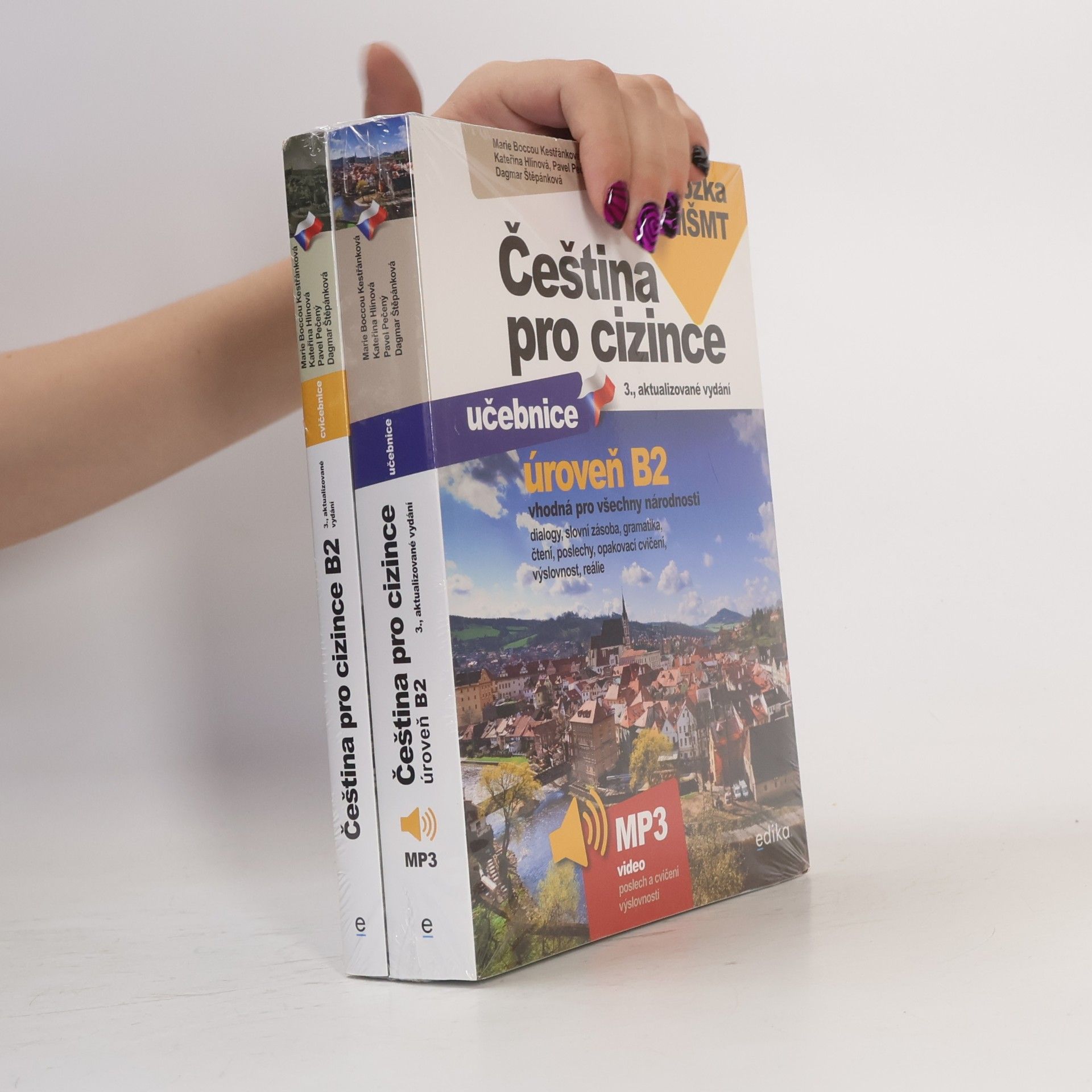 Marie Kestřánková Čeština pro cizince B2