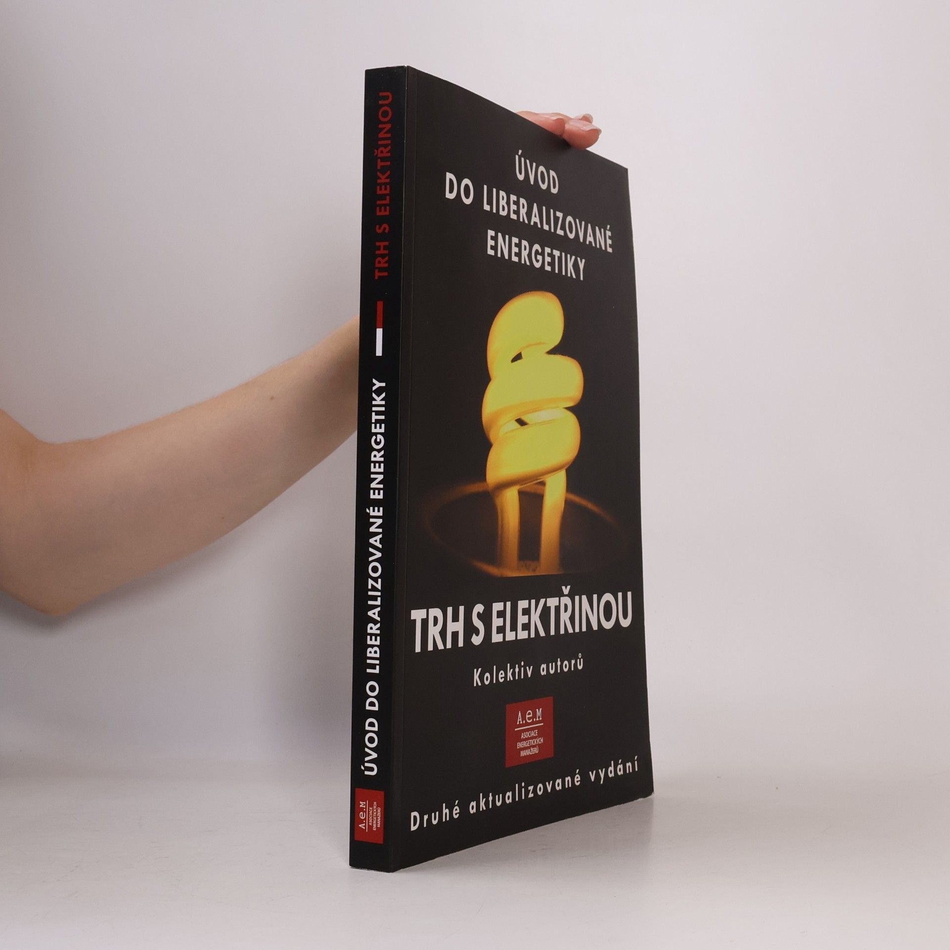 Autorenkollektiv Trh s elektřinou. Úvod do liberalizované energetiky
