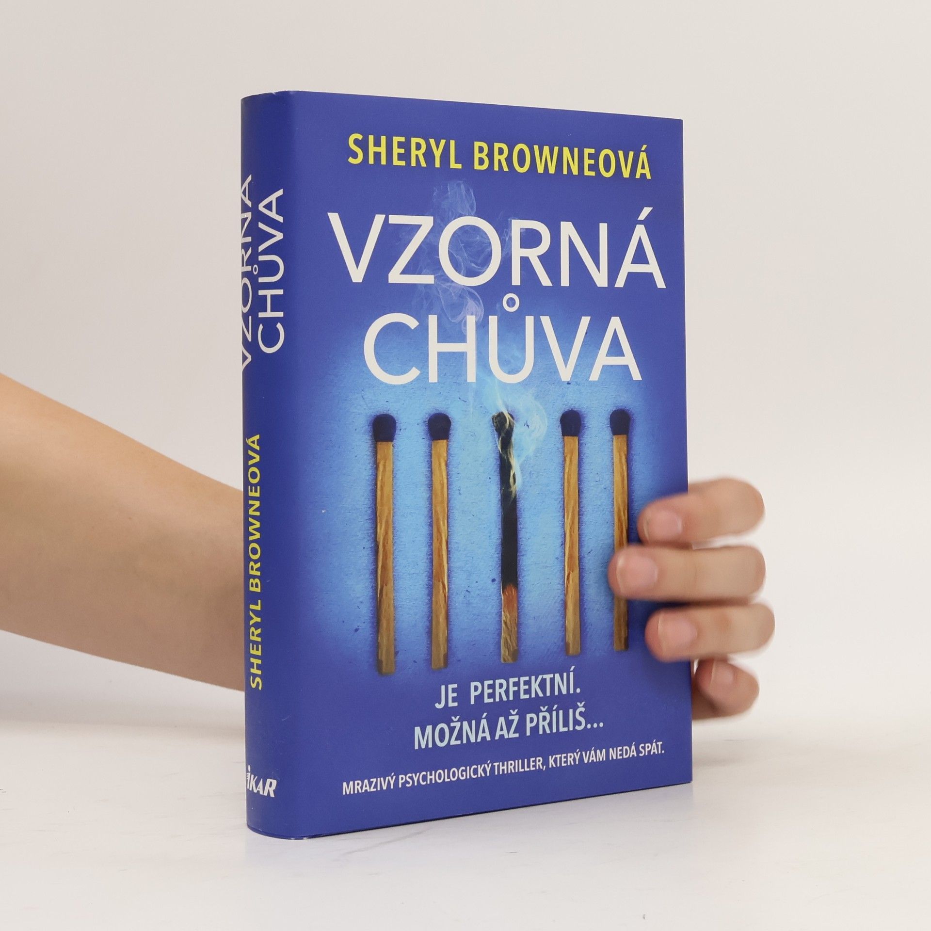 Sheryl Browne Vzorná chůva