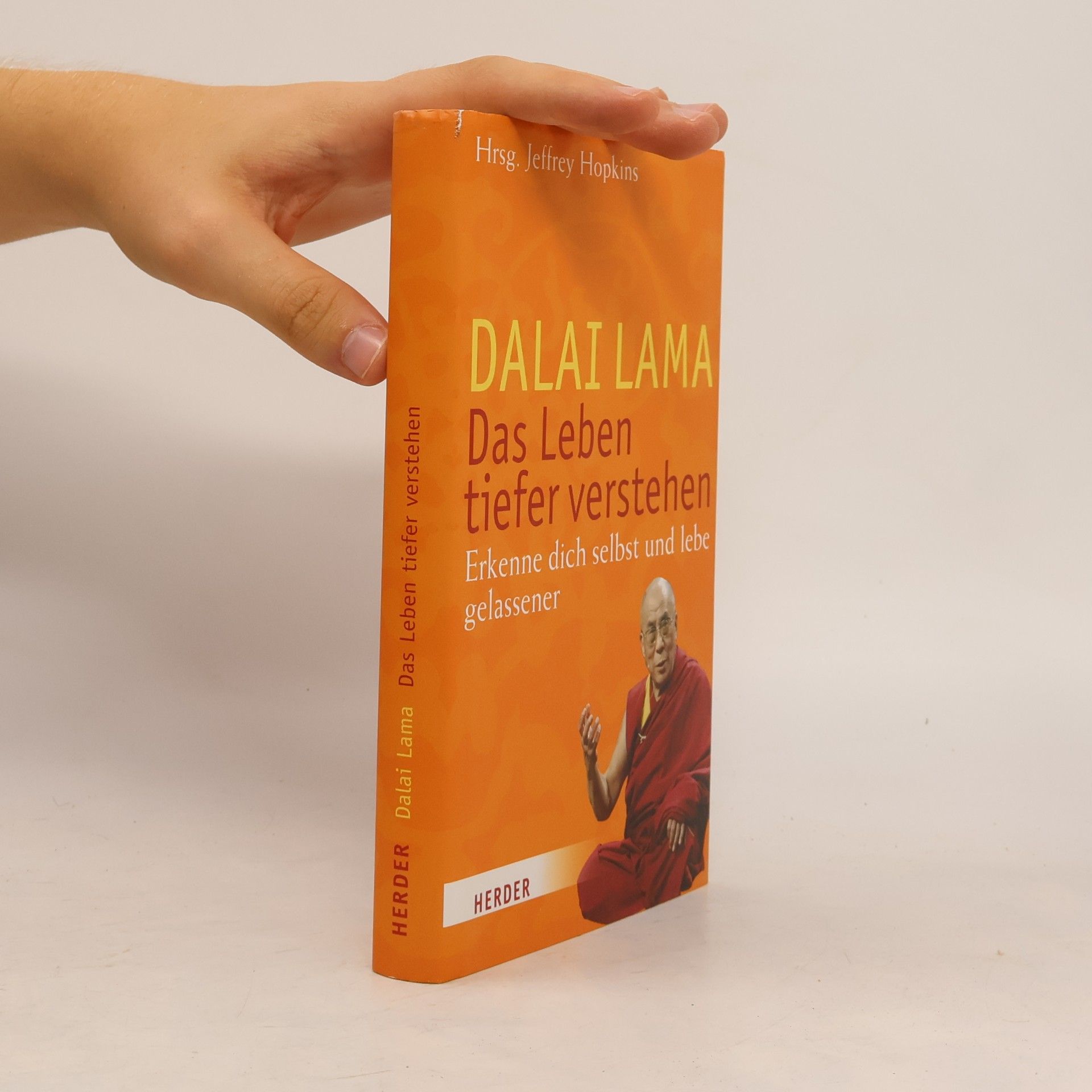 Dalaï-Lama Dalai Lama. Das Leben tiefer verstehen