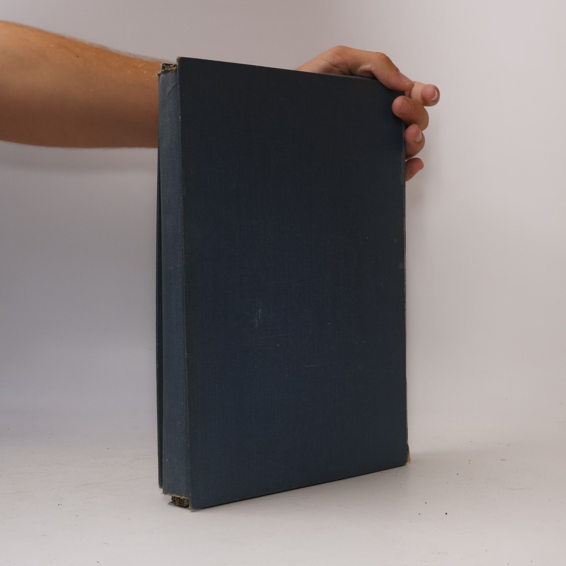 Various authors Kunstblätter aus Reclams Universum