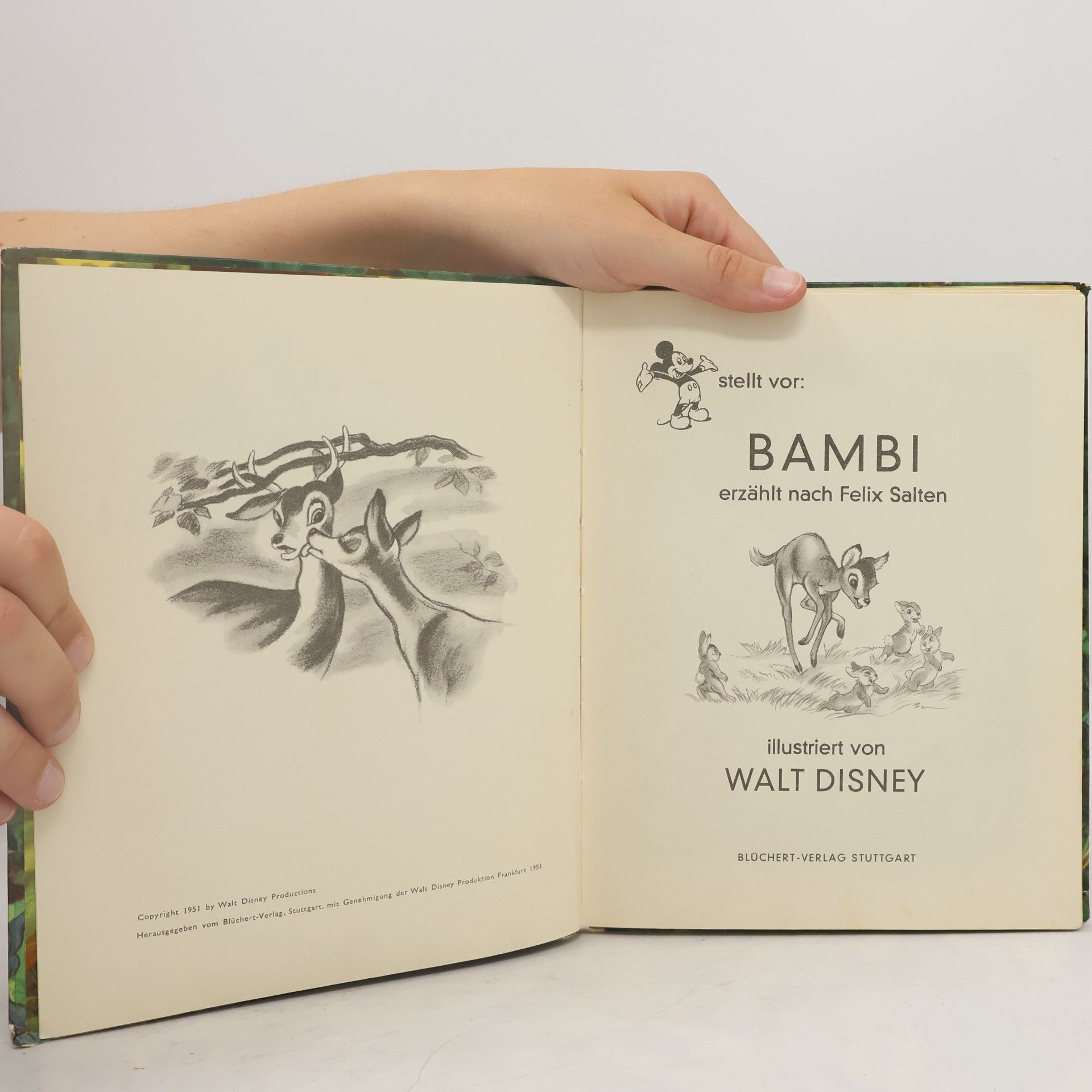 Walt Disney Bambi