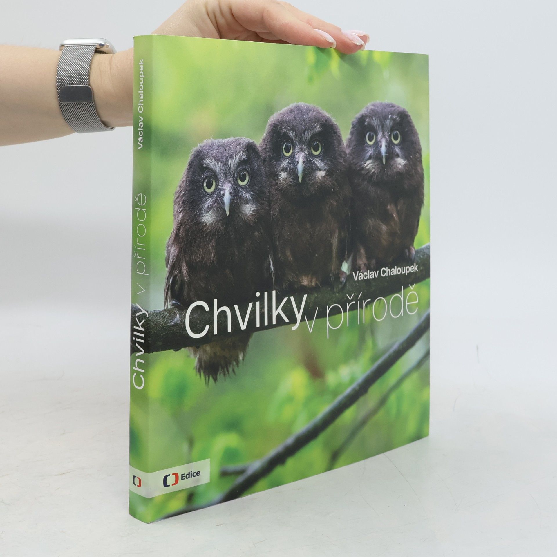 Chvilky v přírodě