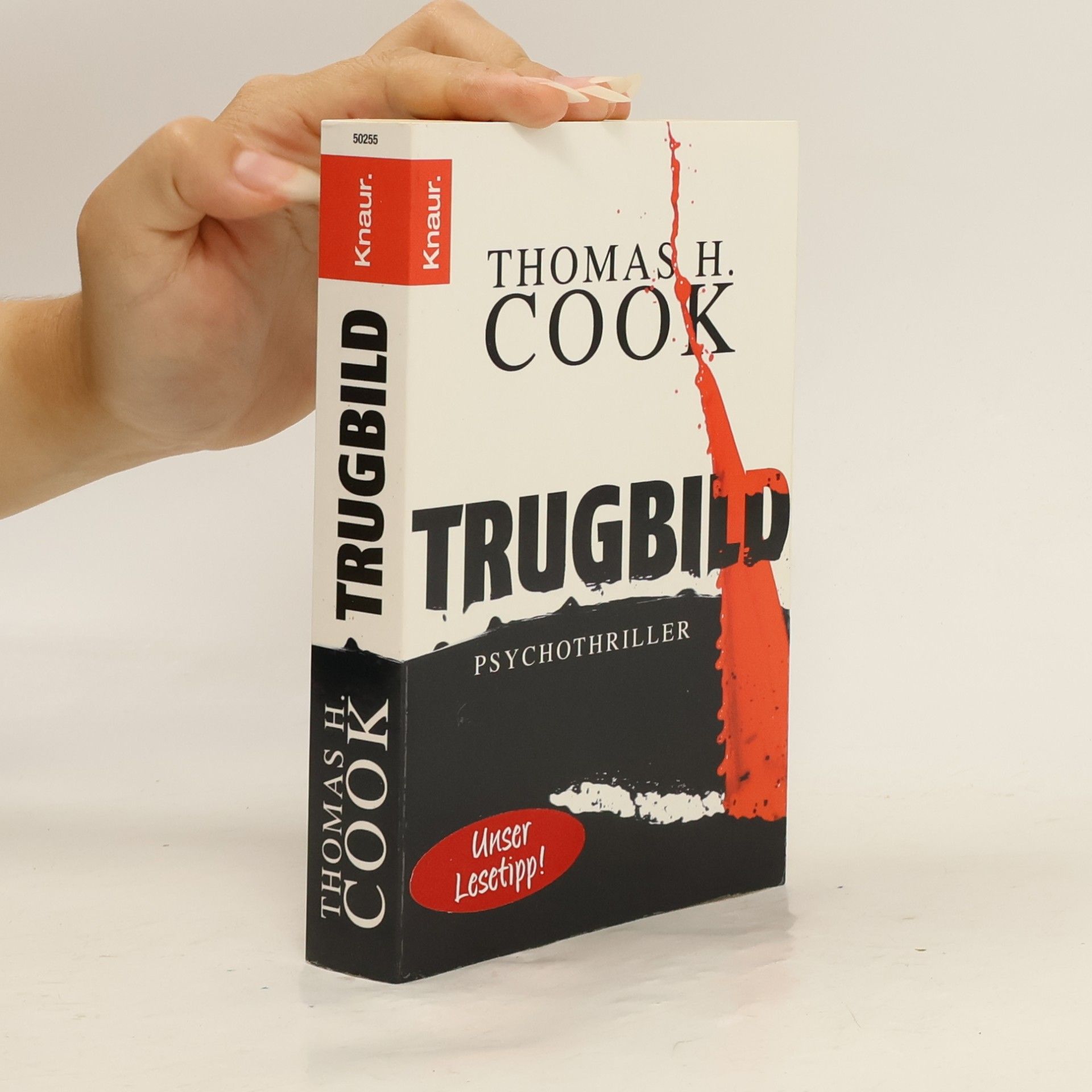Thomas H. Cook Trugbild