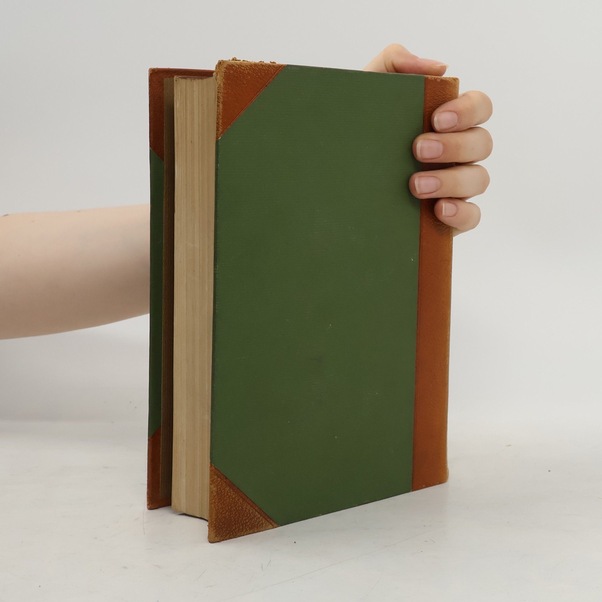 Alfred Biese Deutsche Literaturgeschichte III.