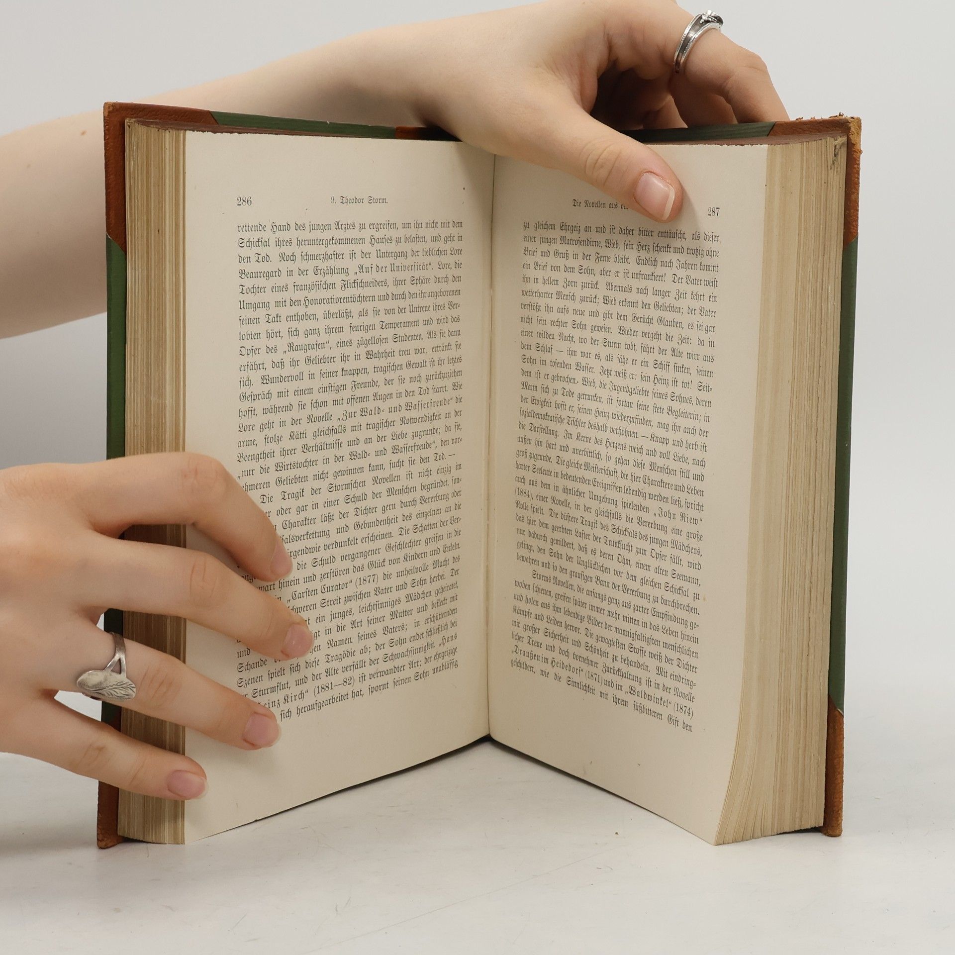Alfred Biese Deutsche Literaturgeschichte III.
